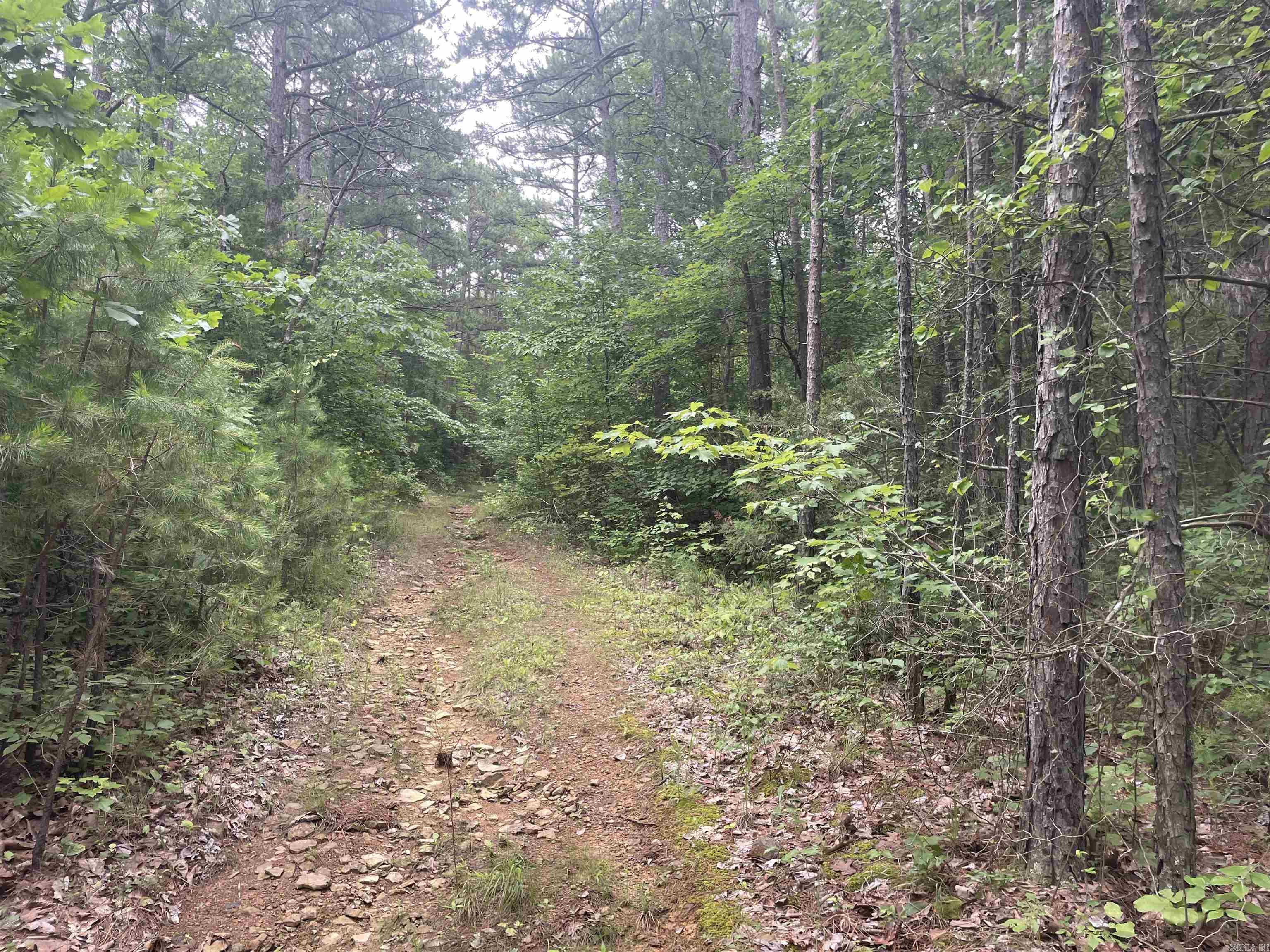 000 Sylvan Lane Property Photo 1
