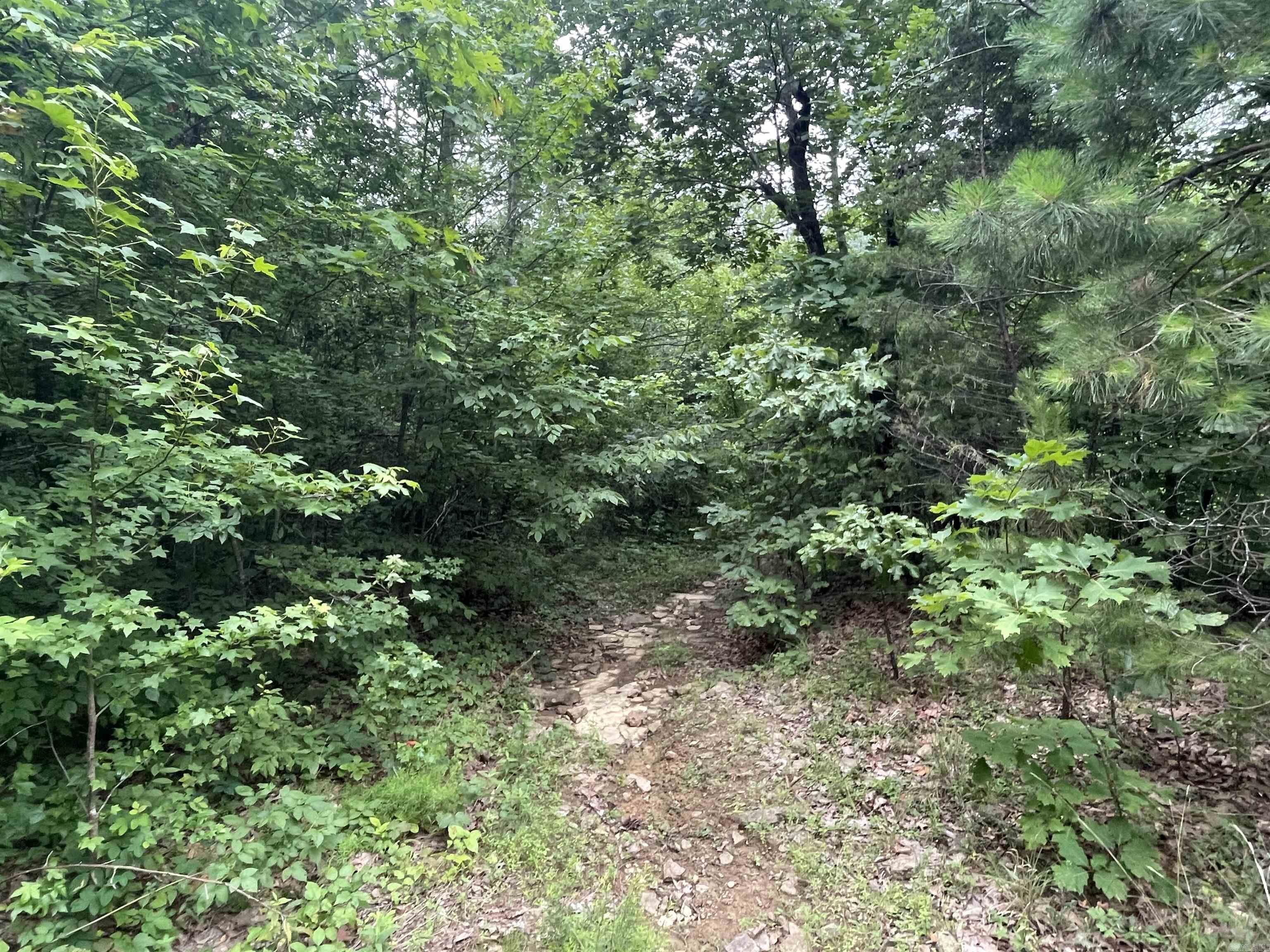 000 Sylvan Lane Property Photo 3