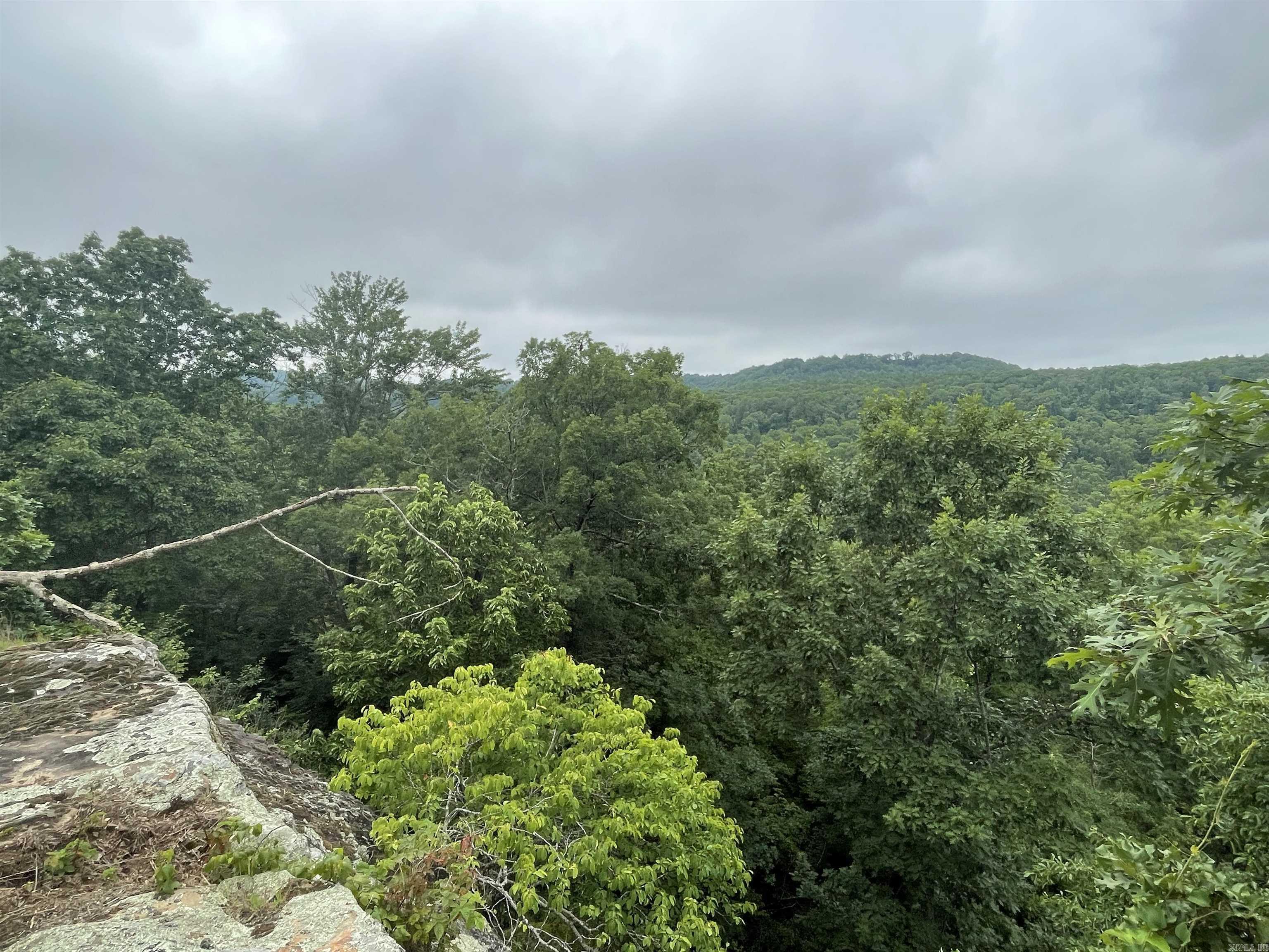 000 Sylvan Lane Property Photo 7