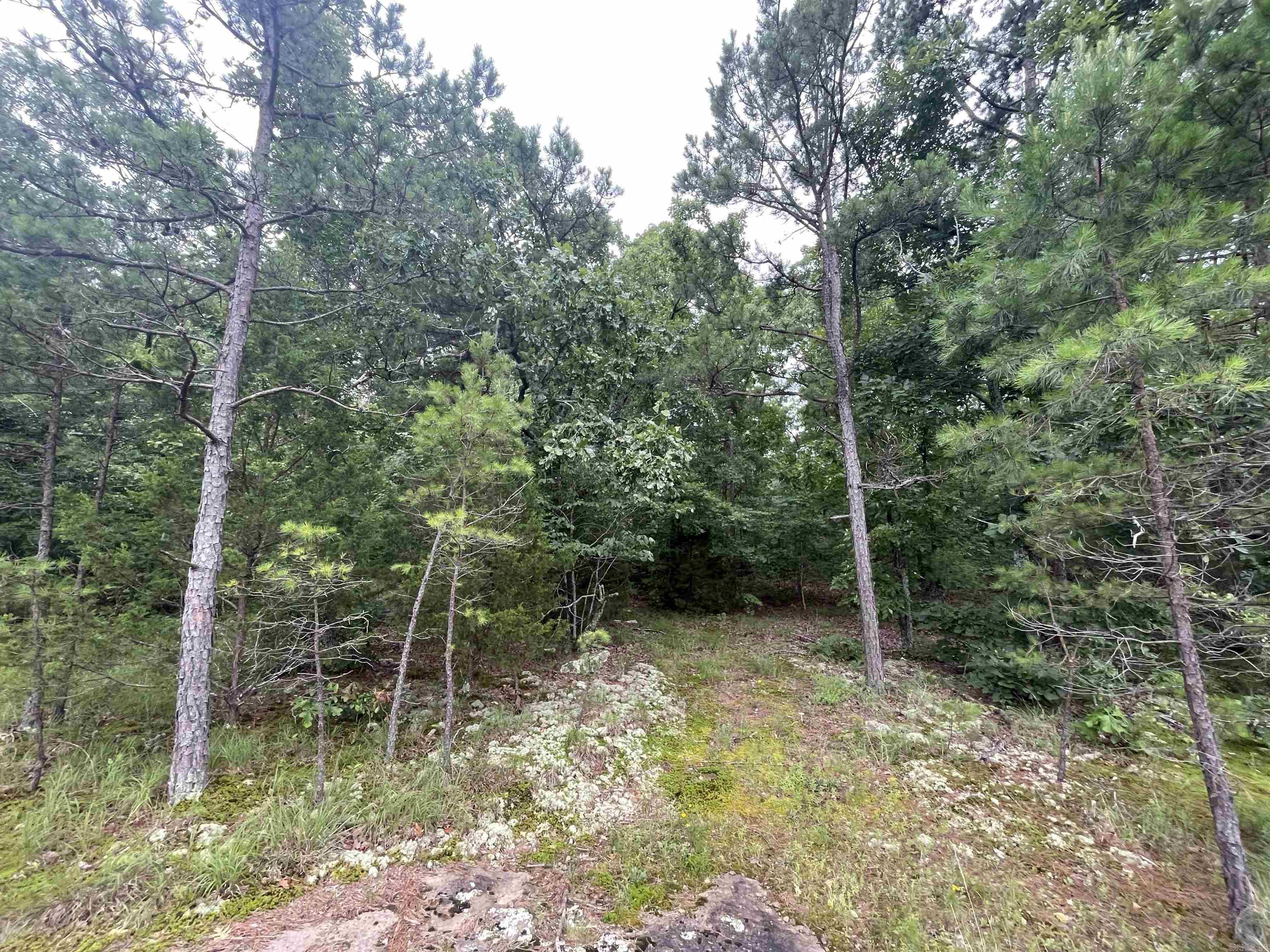 000 Sylvan Lane Property Photo 8