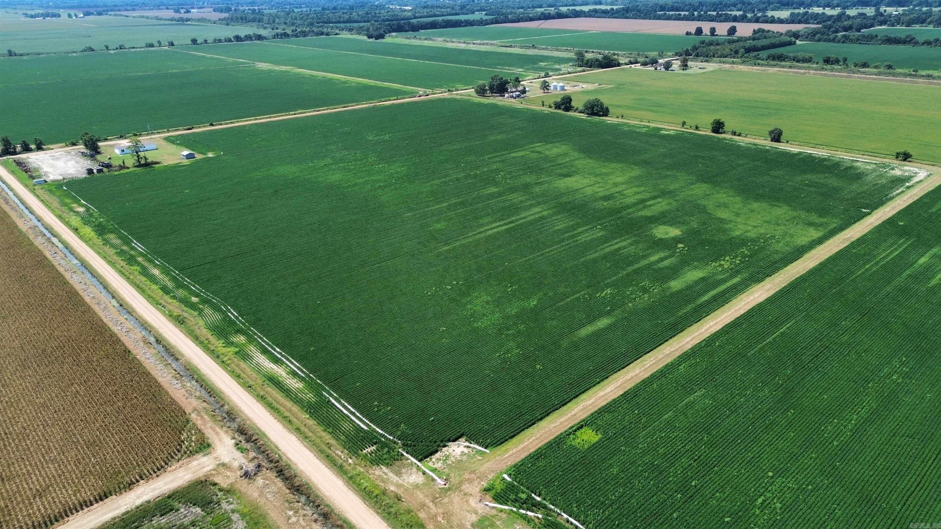 77.7 Acres Pineview Rd/benson Ln Property Photo 2