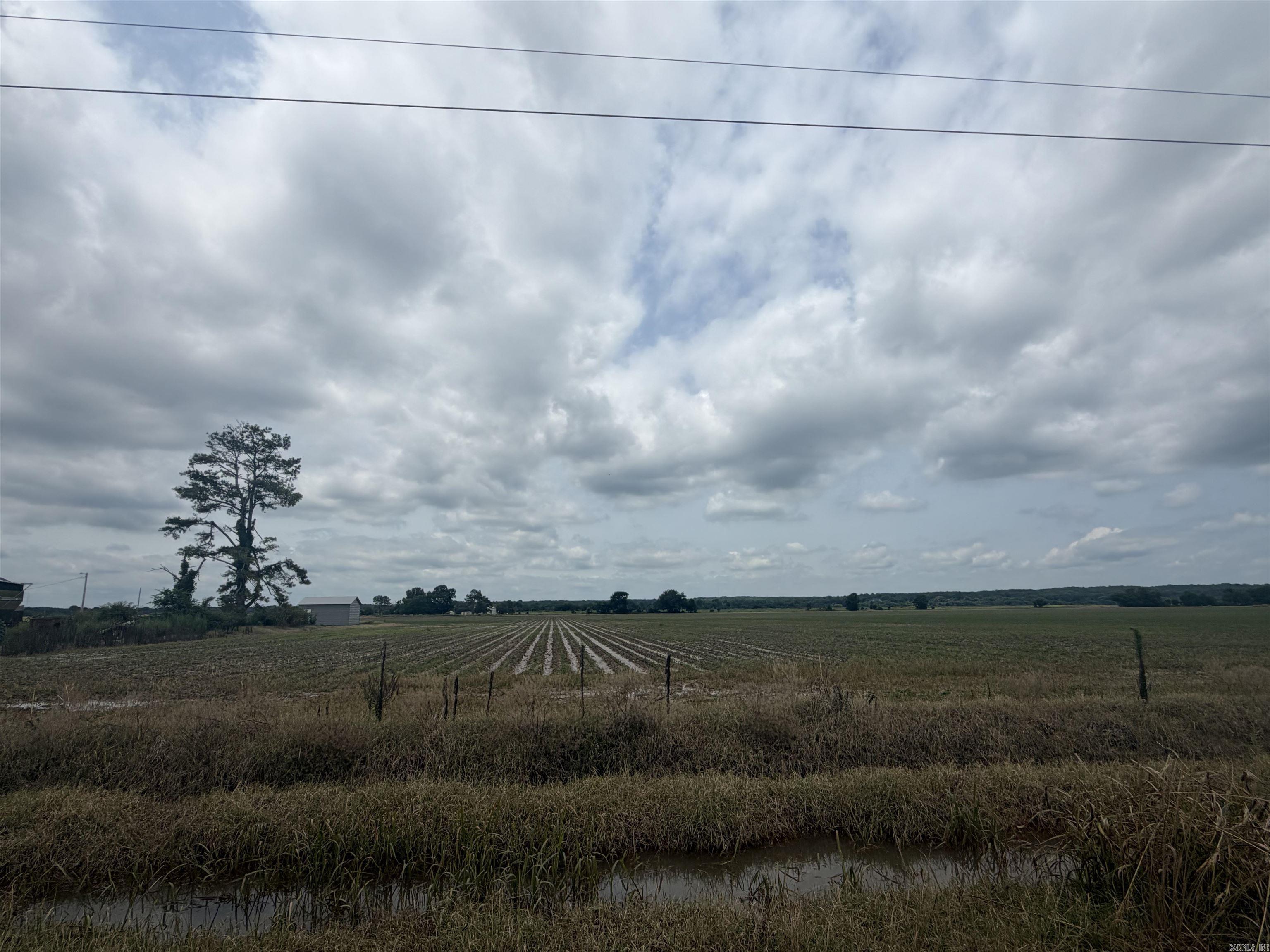 77.7 Acres Pineview Rd/benson Ln Property Photo 9