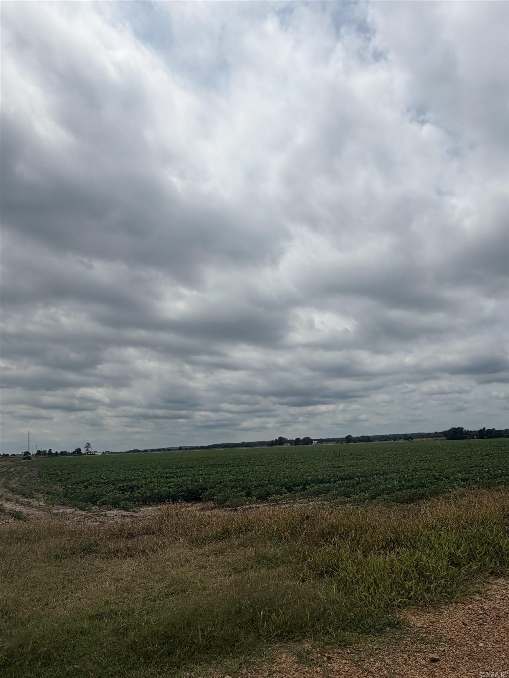 77.7 Acres Pineview Rd/benson Ln Property Photo 12