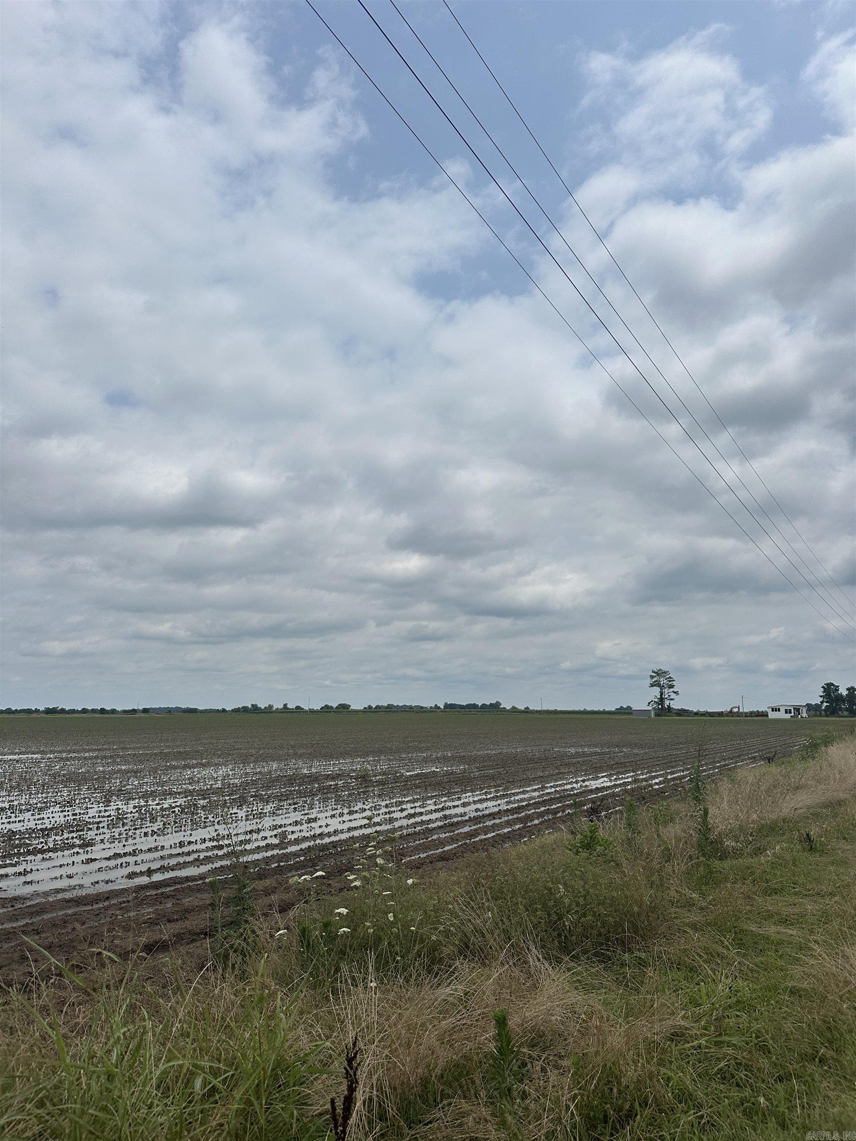 77.7 Acres Pineview Rd/benson Ln Property Photo 13