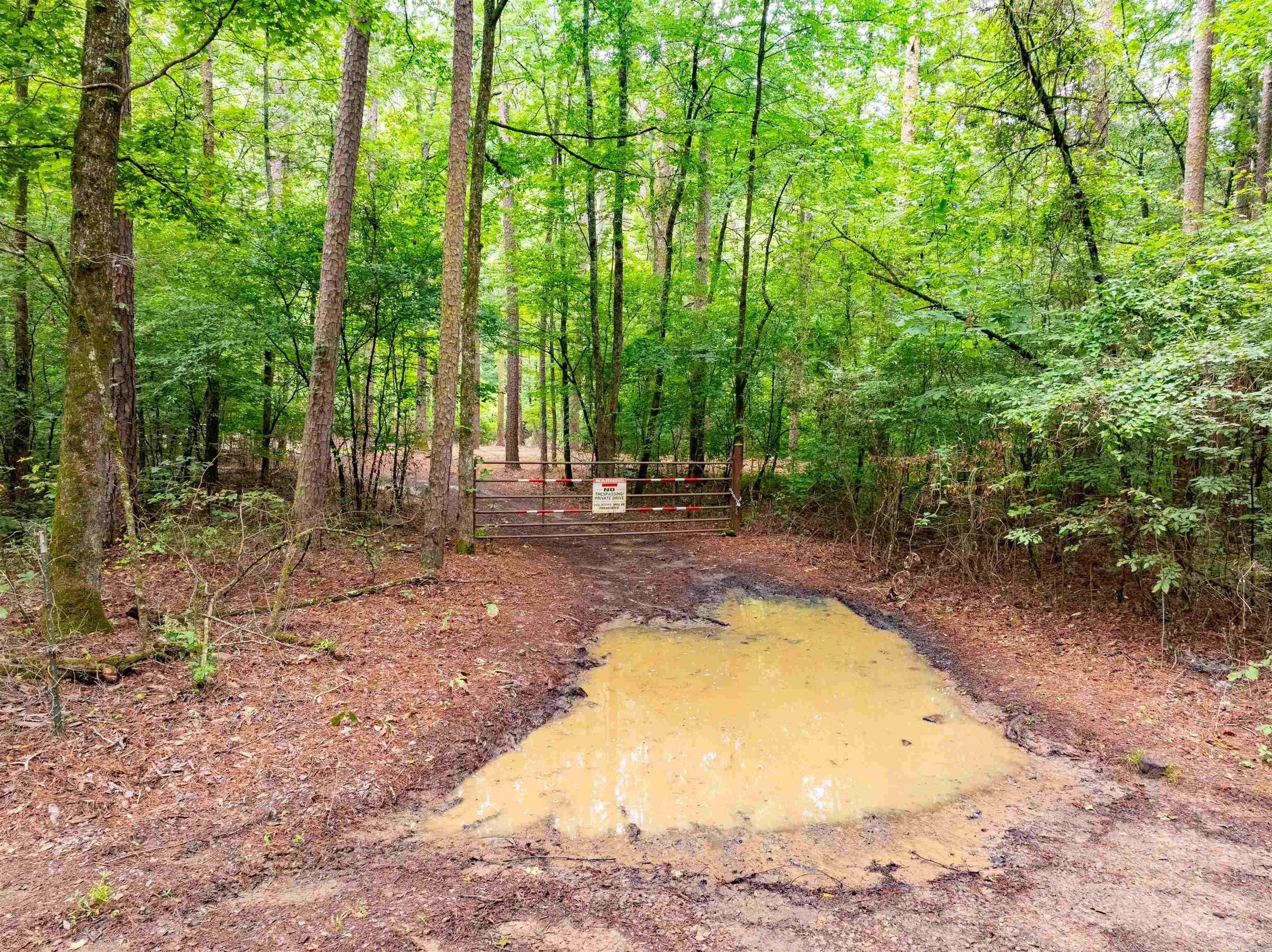 0 Middle Fork Road Property Photo 12