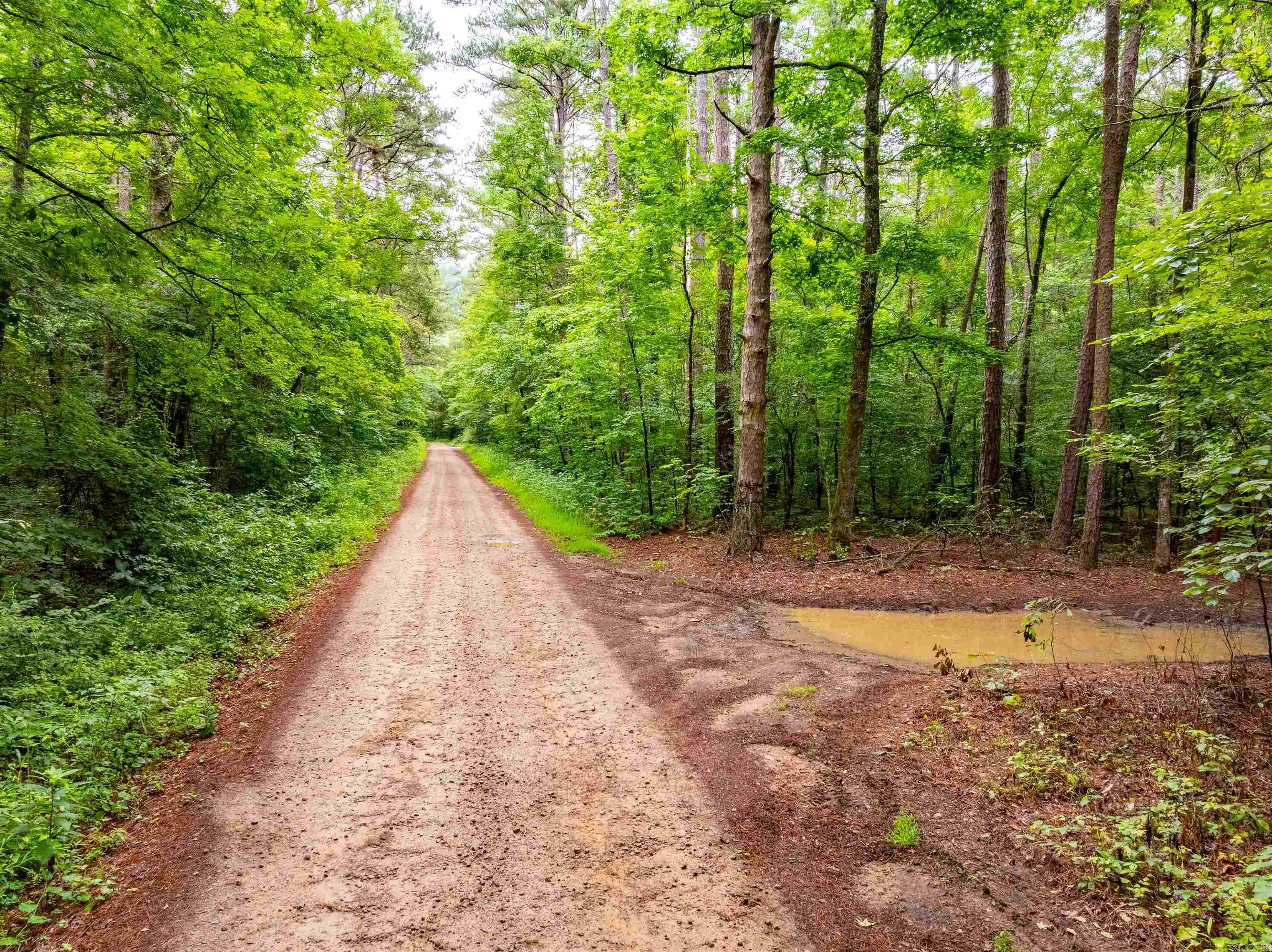 0 Middle Fork Road Property Photo 13