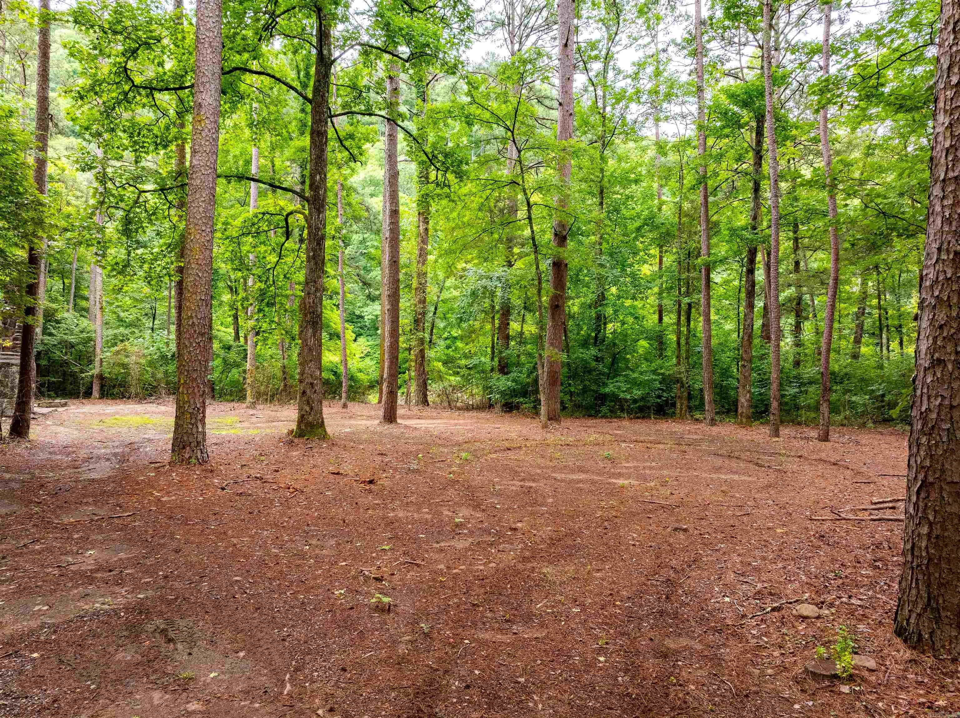 0 Middle Fork Road Property Photo 14
