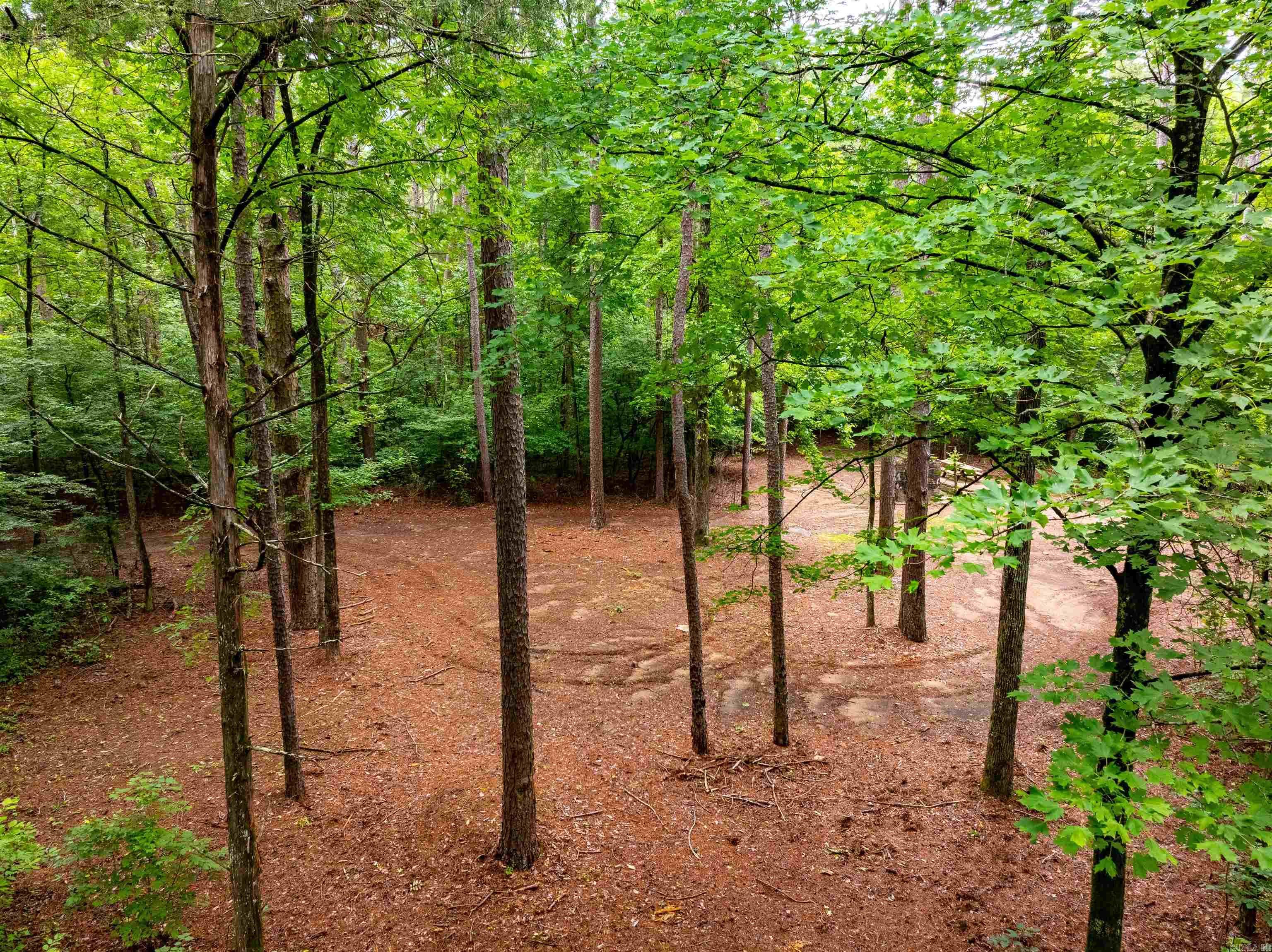 0 Middle Fork Road Property Photo 15