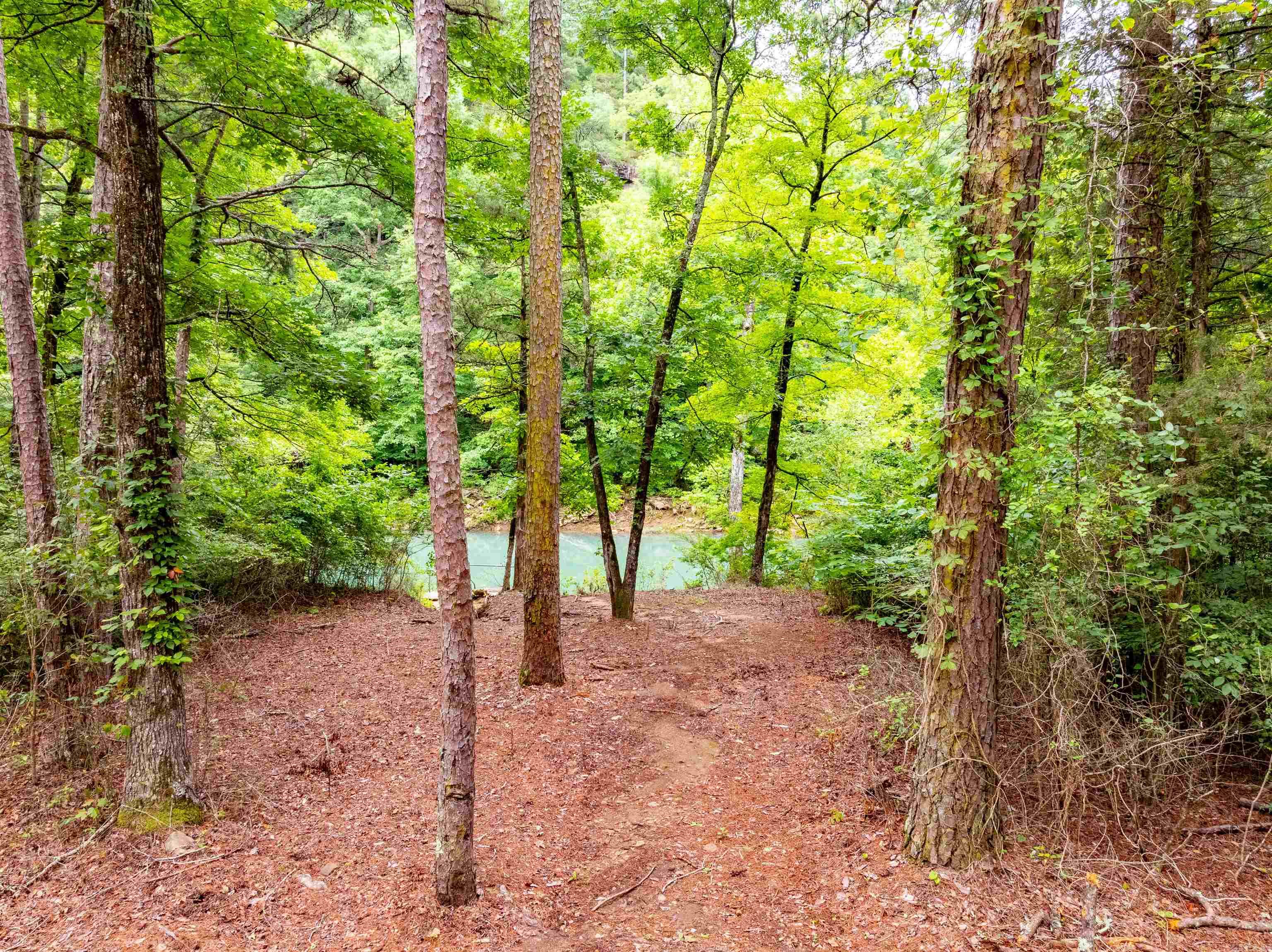 0 Middle Fork Road Property Photo 17