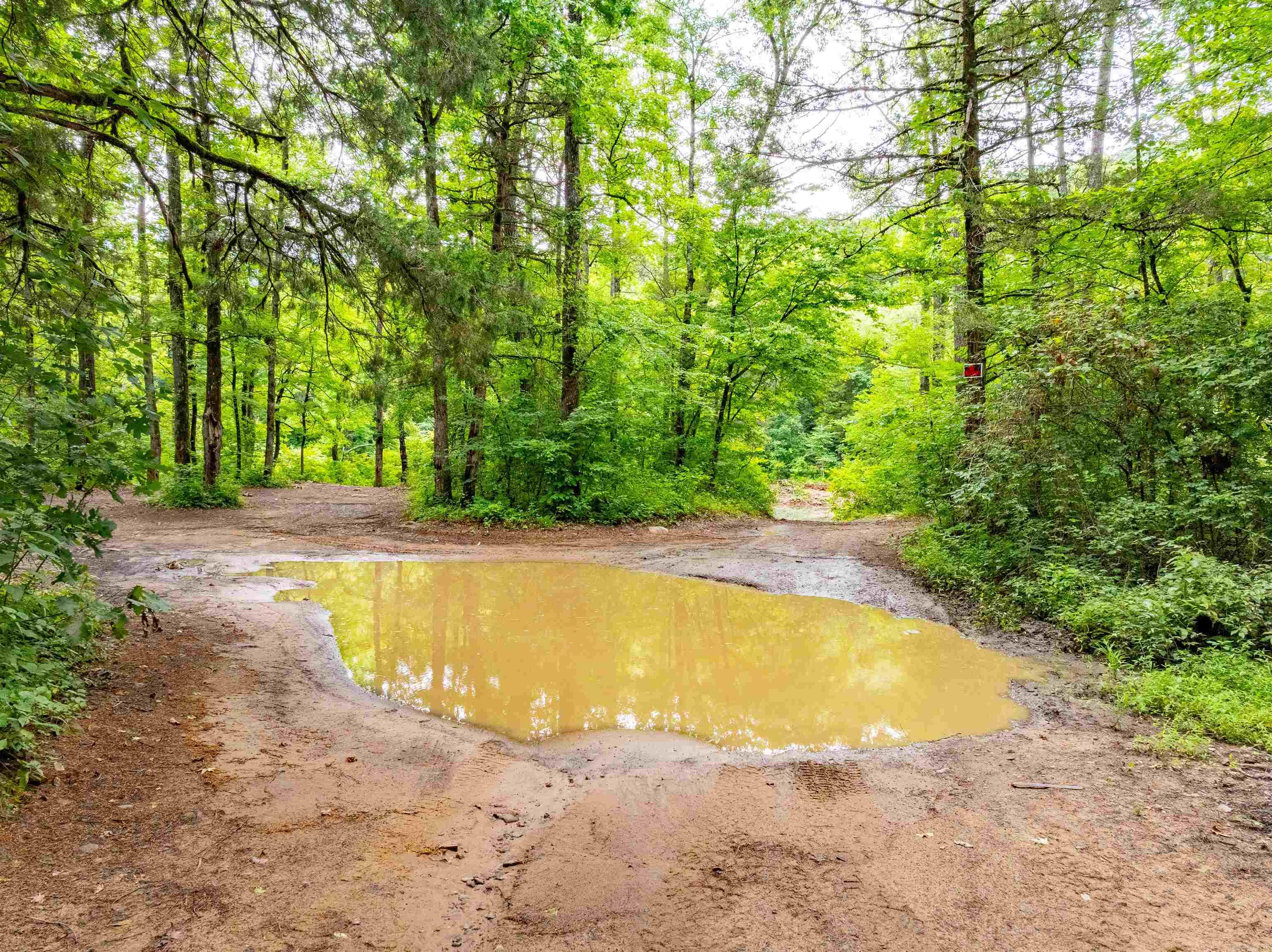 0 Middle Fork Road Property Photo 19