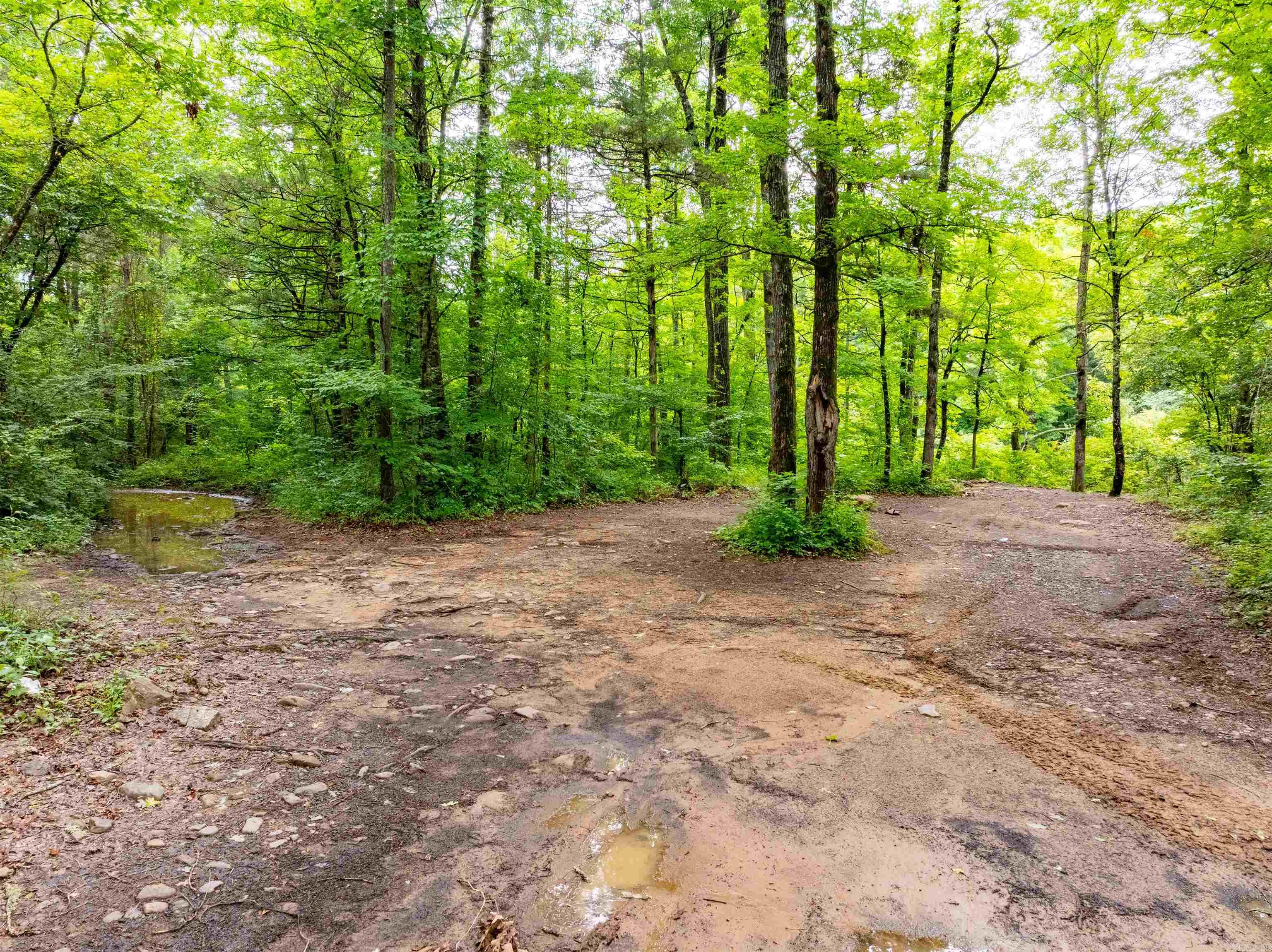0 Middle Fork Road Property Photo 20