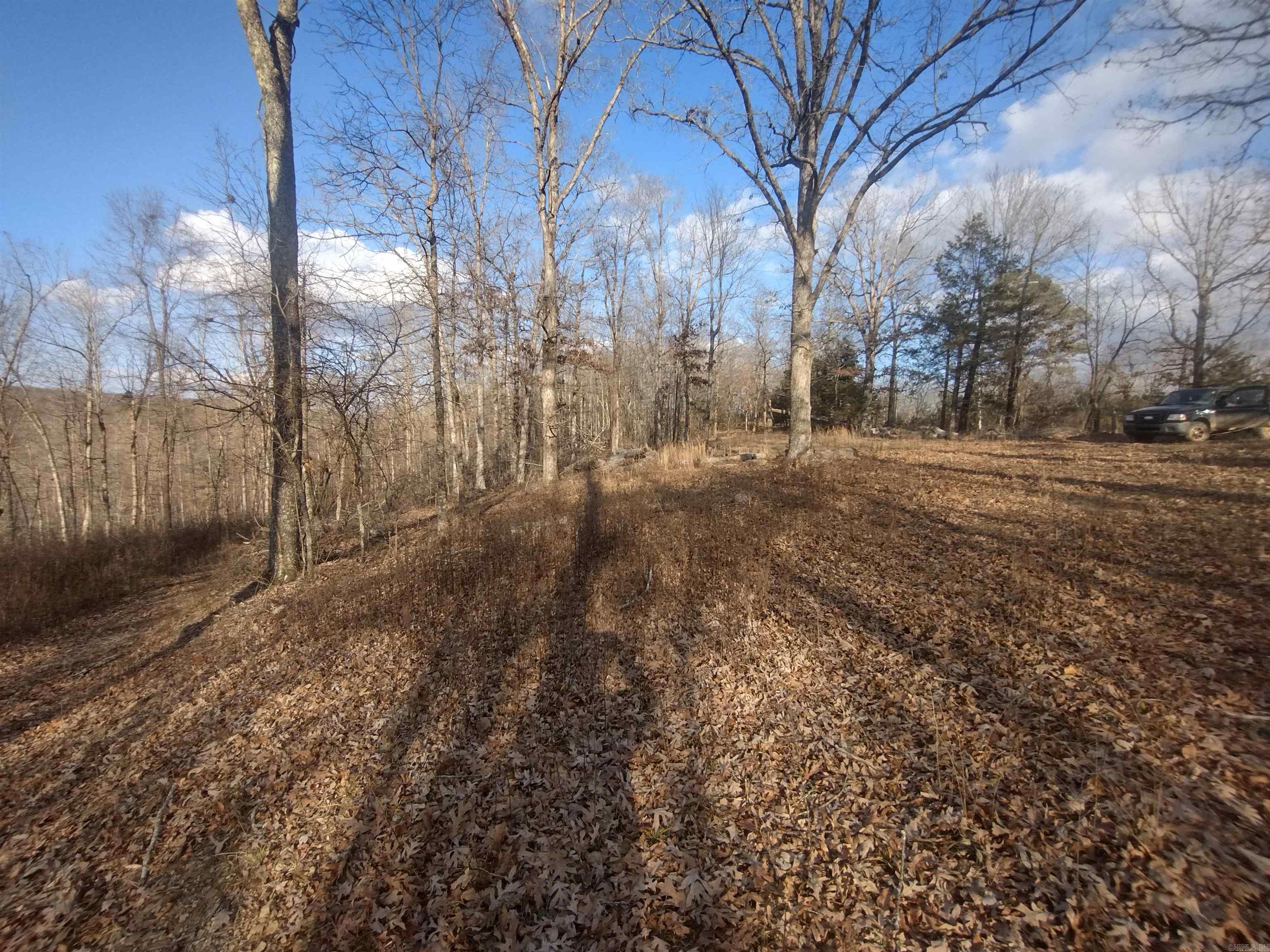 140 Brushy Creek Rd Property Photo 2