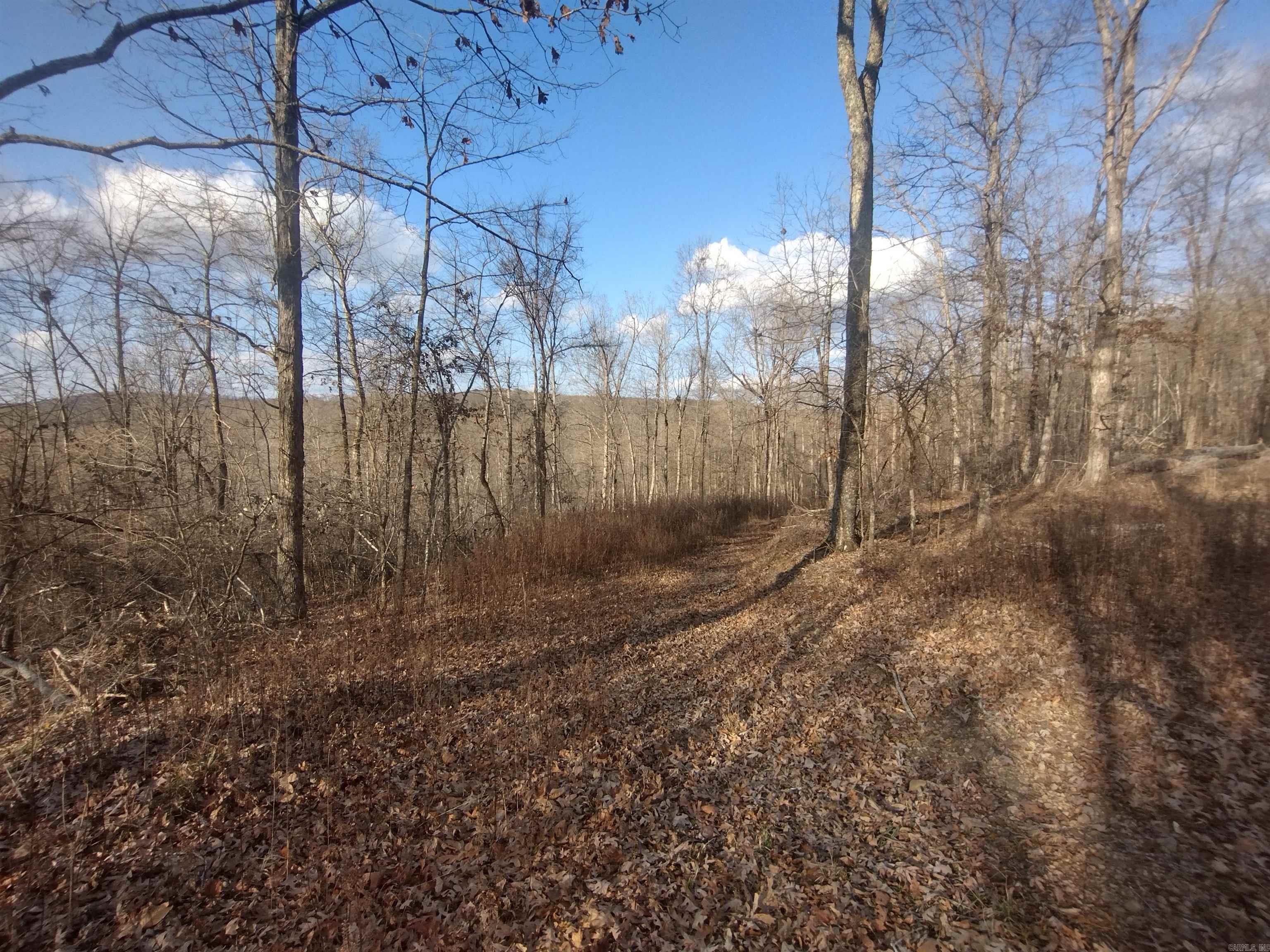 140 Brushy Creek Rd Property Photo 4