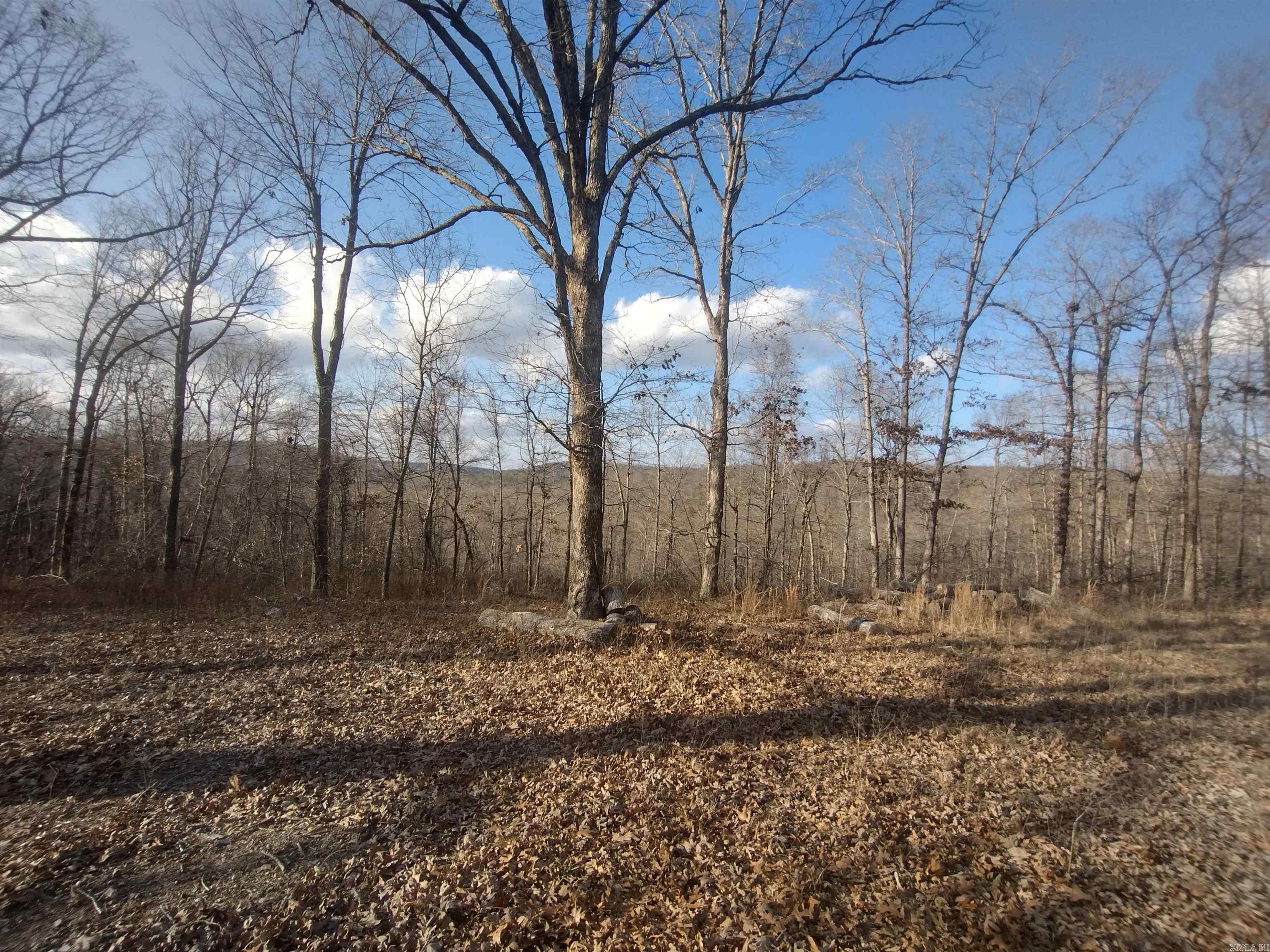 140 Brushy Creek Rd Property Photo 10