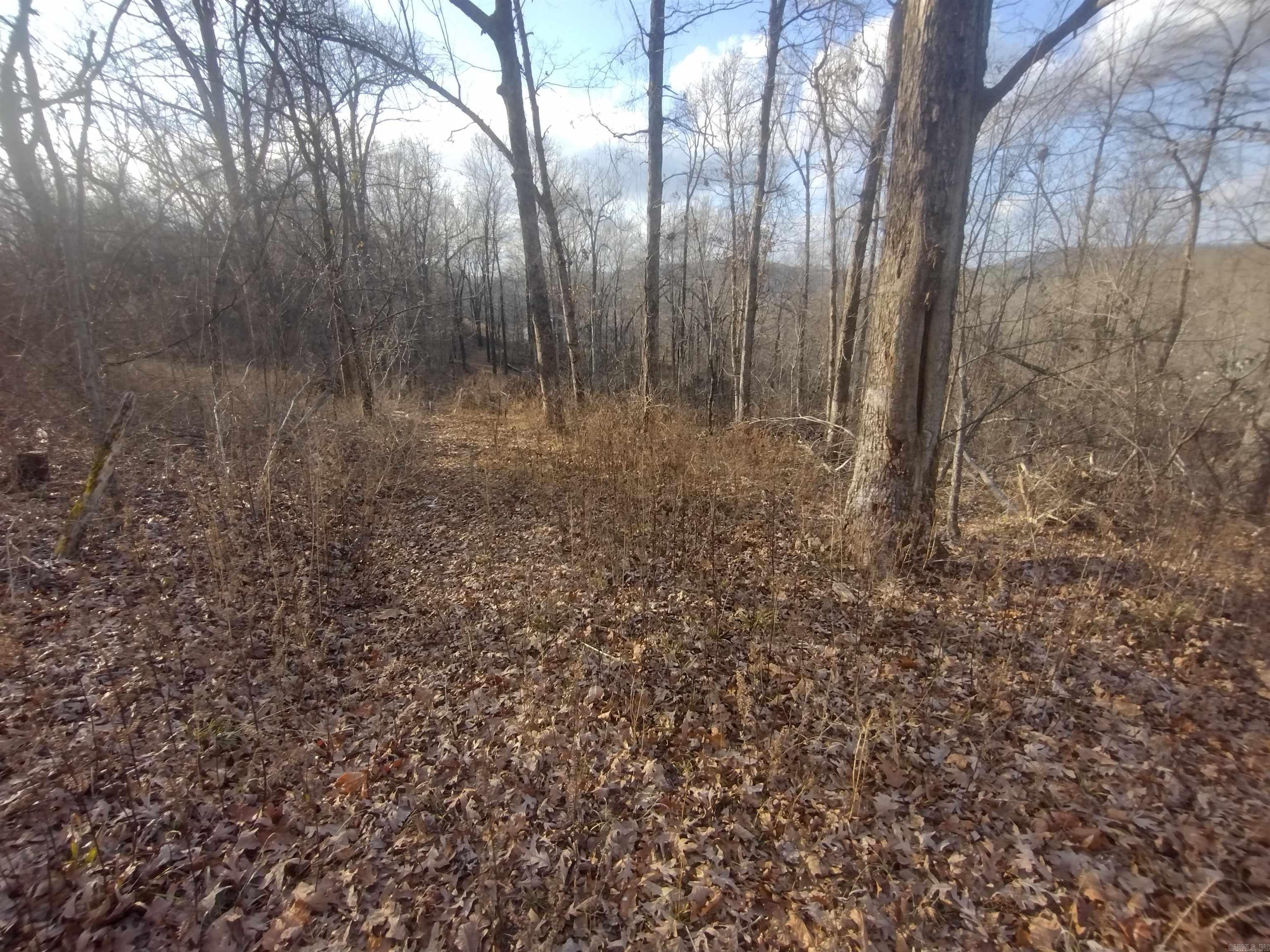 140 Brushy Creek Rd Property Photo 11
