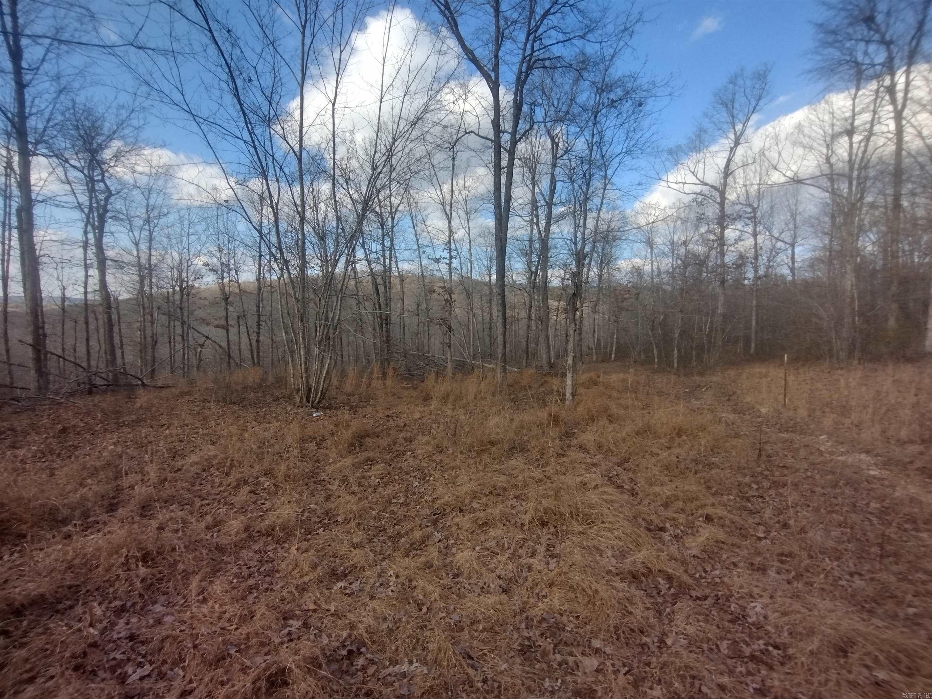 140 Brushy Creek Rd Property Photo 24
