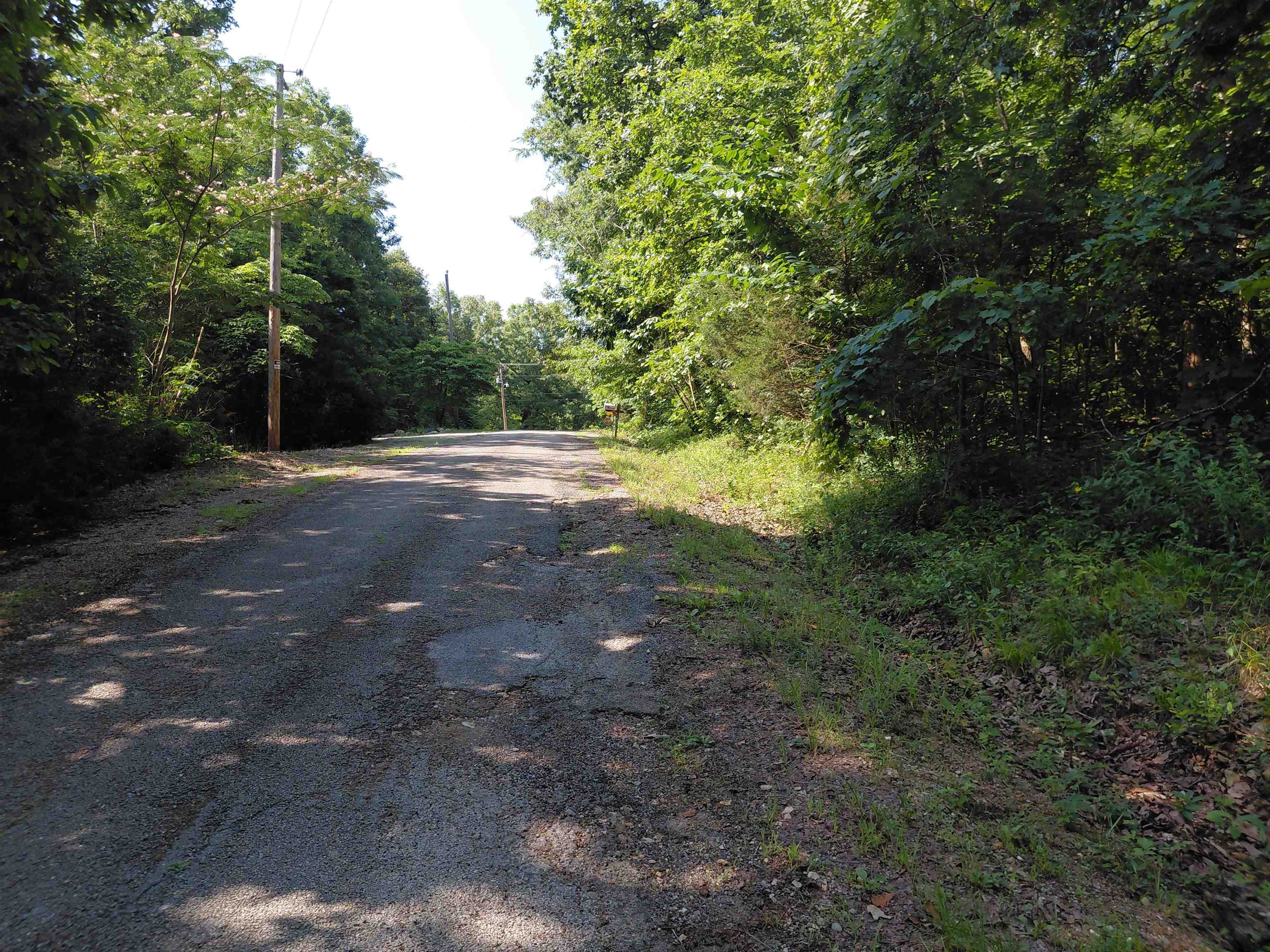 Ponderosa Lane Property Photo 5