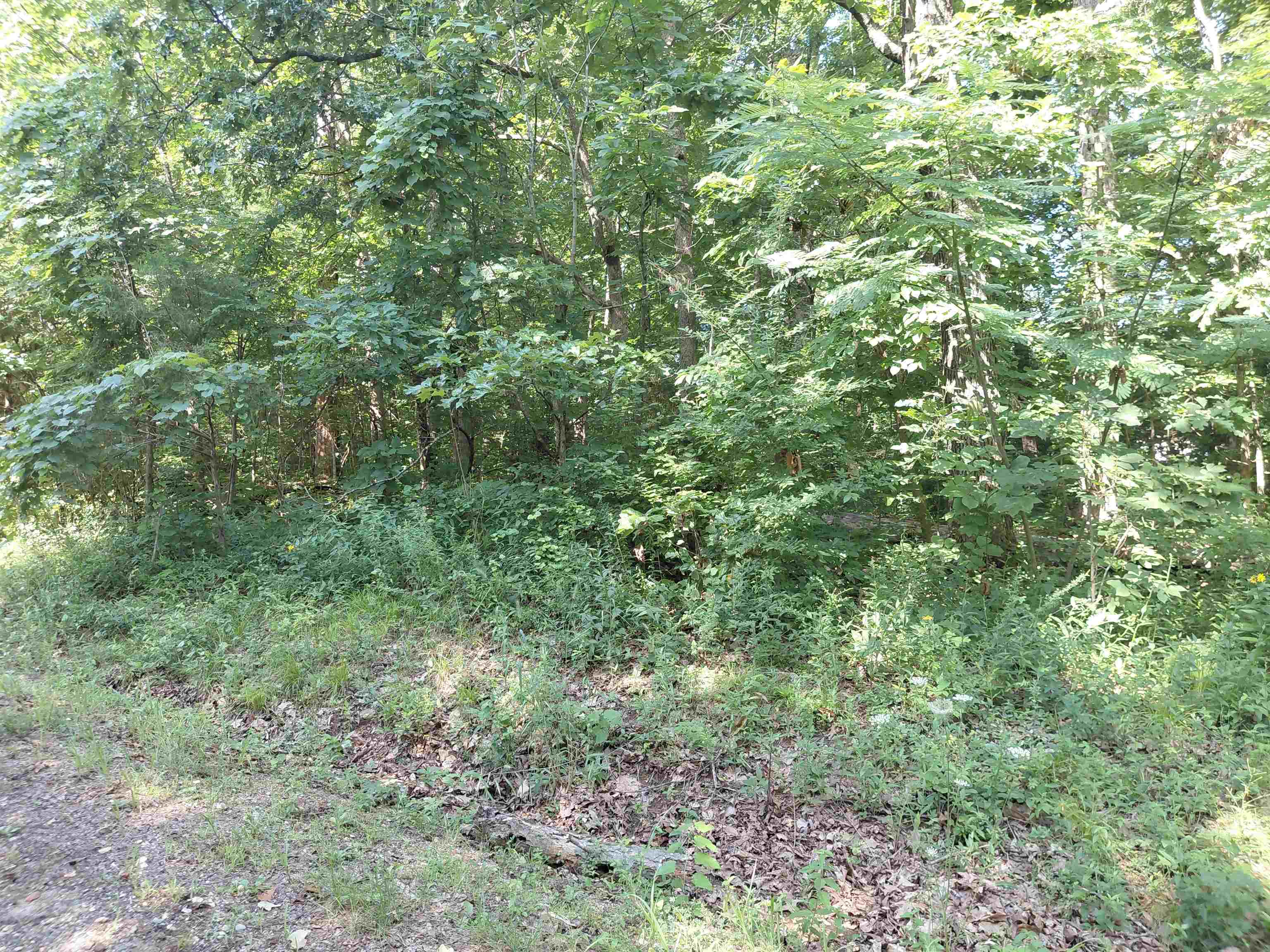 Ponderosa Lane Property Photo 6