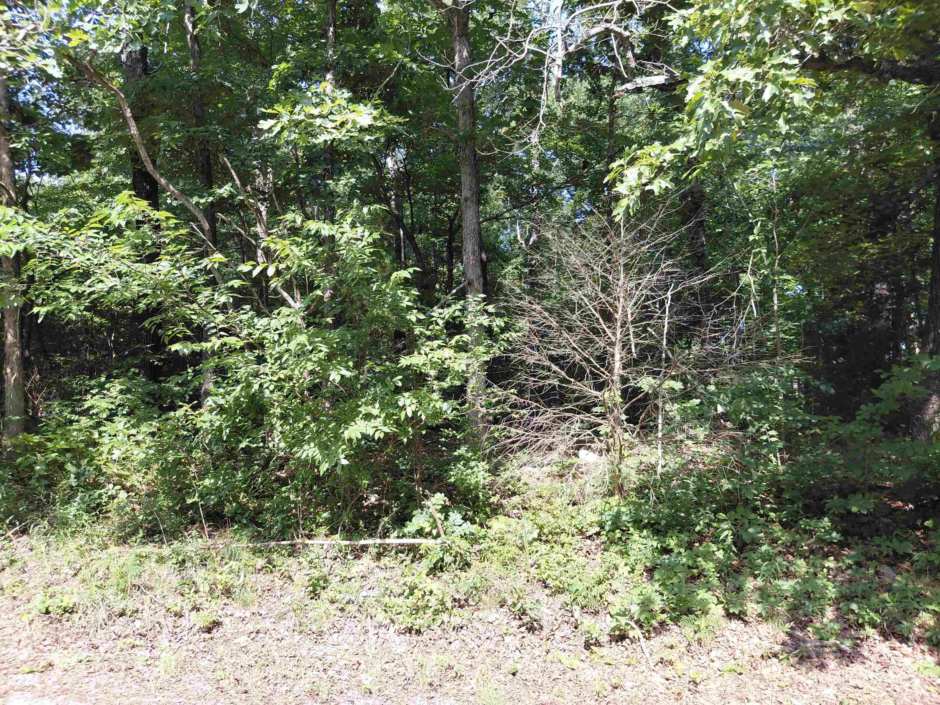 Ponderosa Lane Property Photo 10