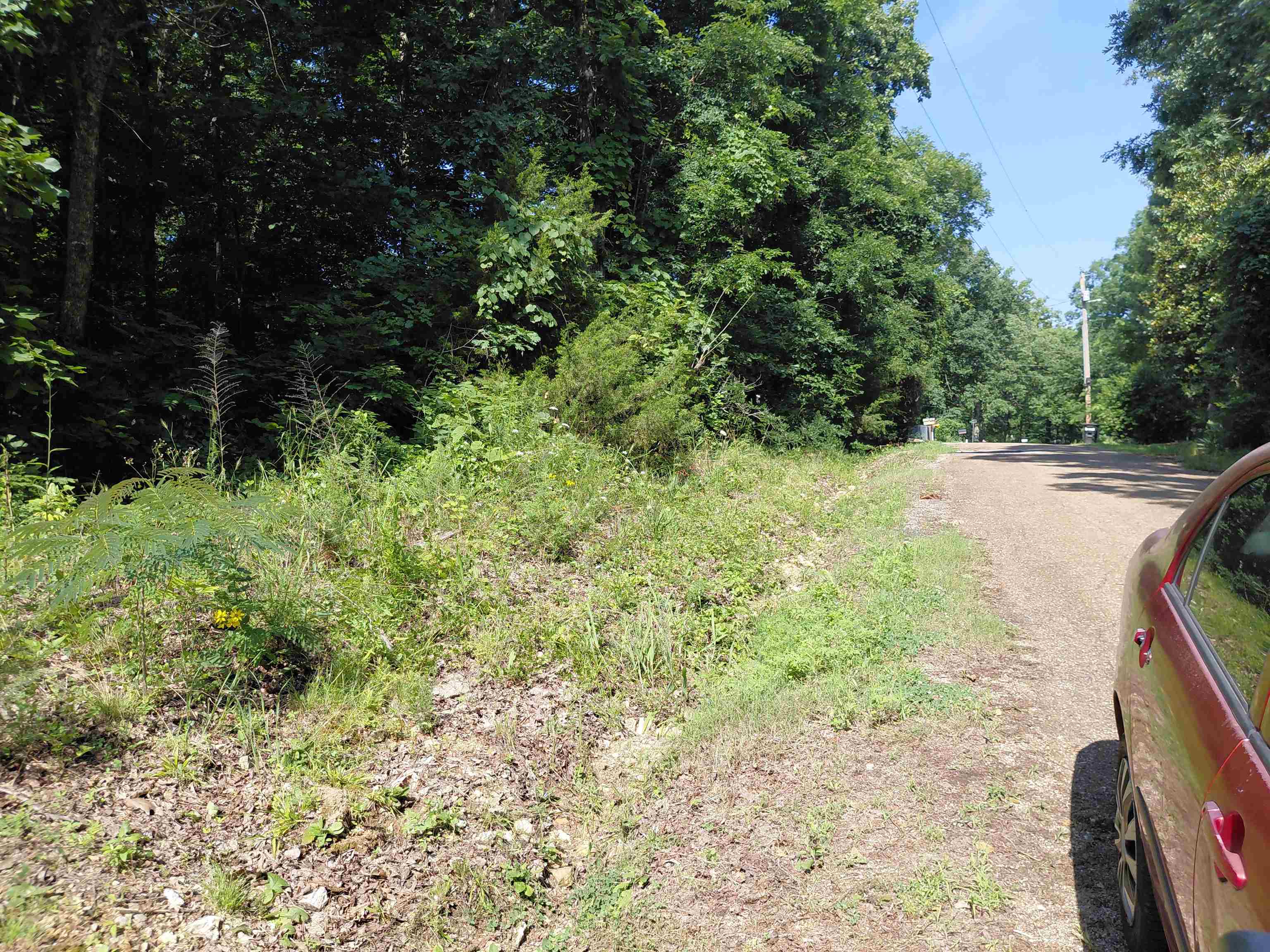 Ponderosa Lane Property Photo 11