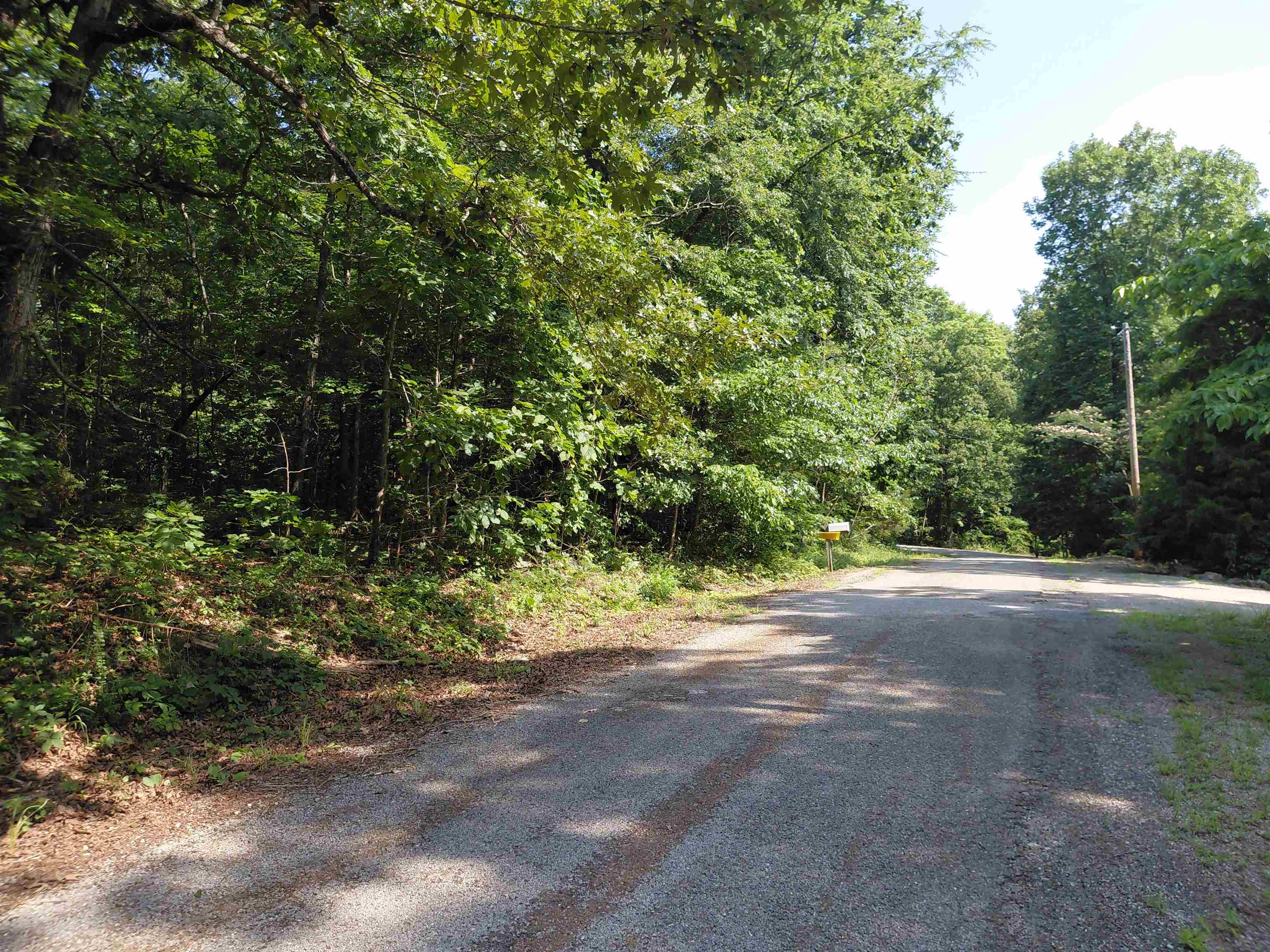 Ponderosa Lane Property Photo 13