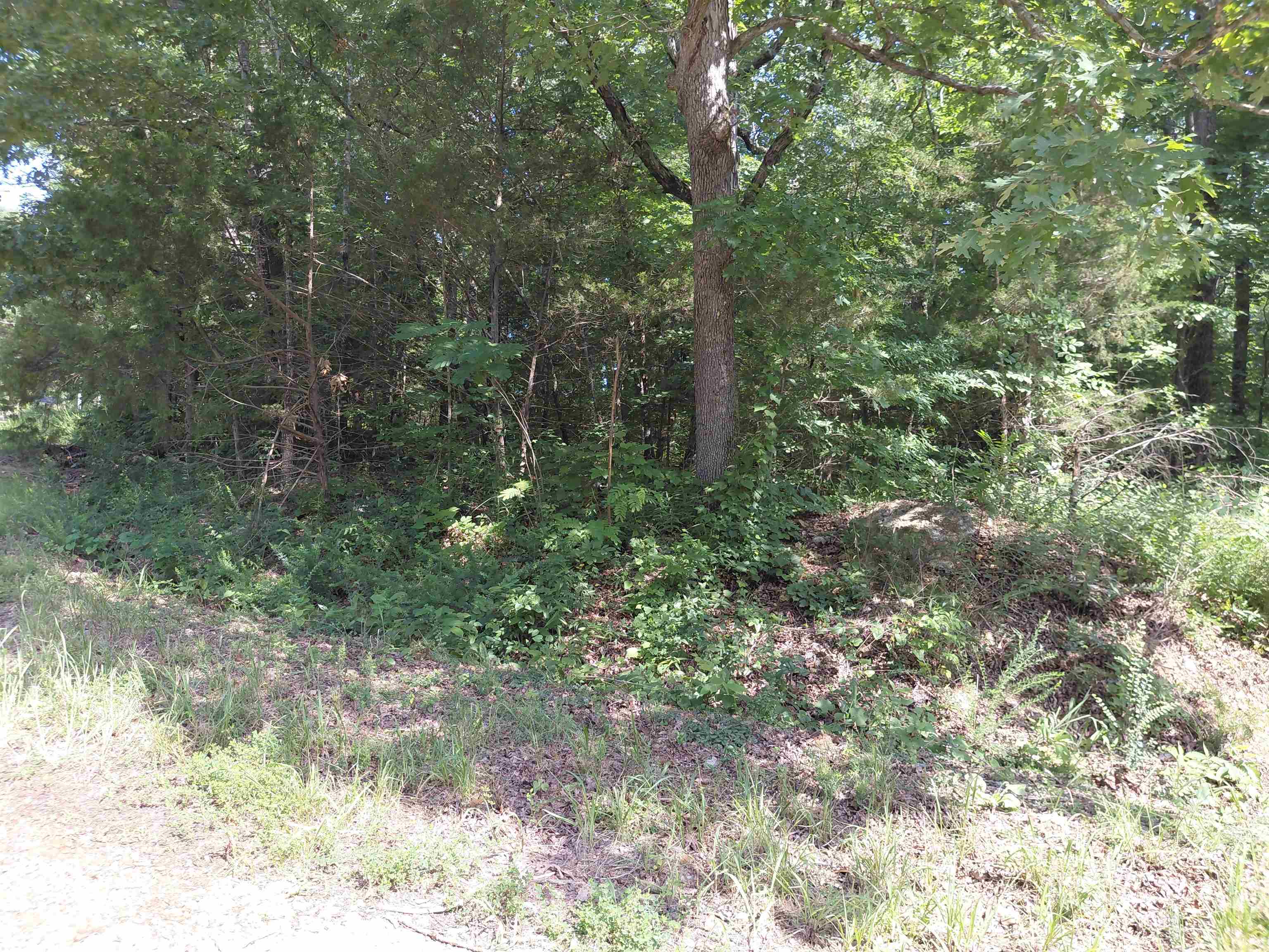 Ponderosa Lane Property Photo 14