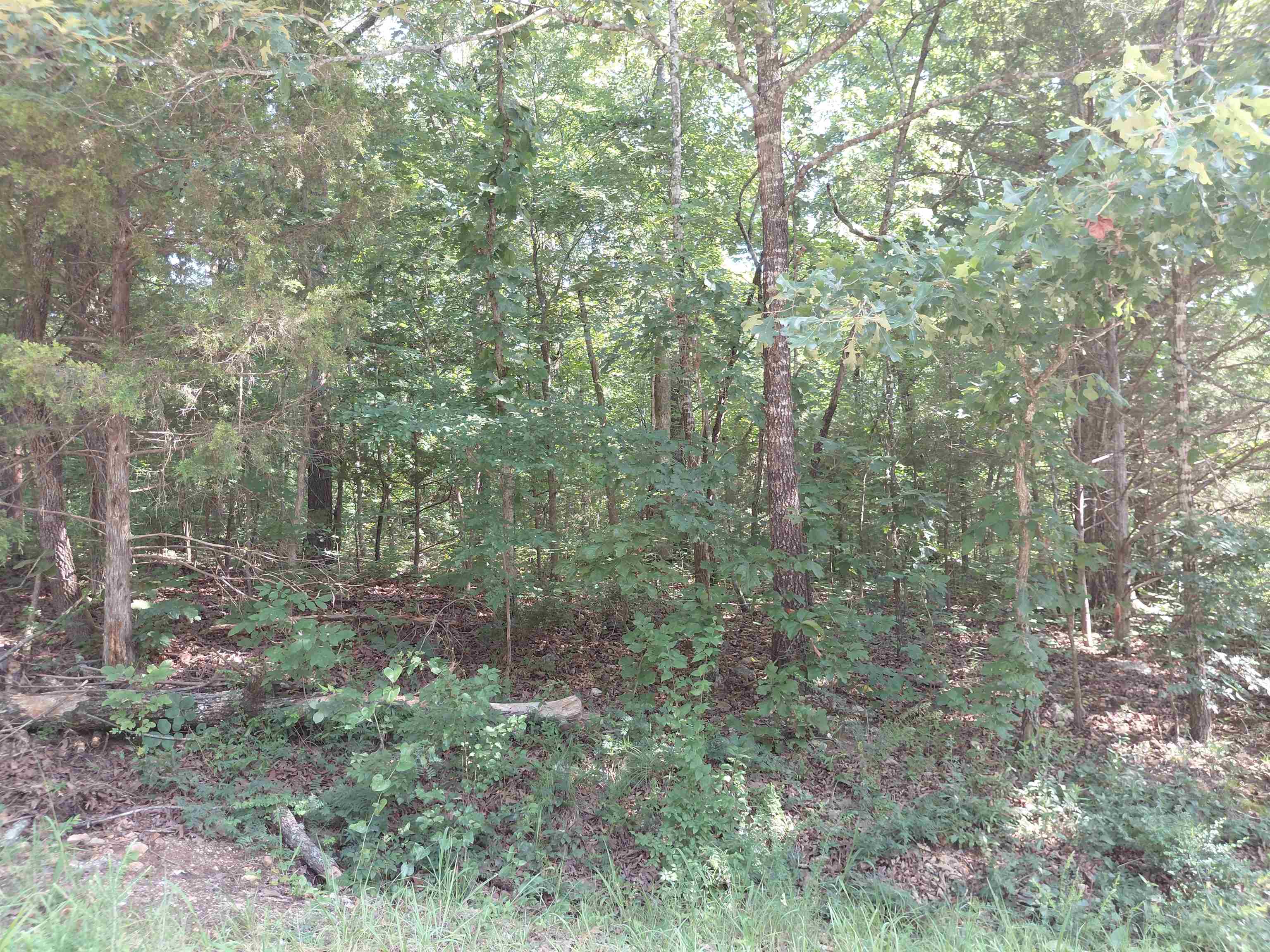 Ponderosa Lane Property Photo 16