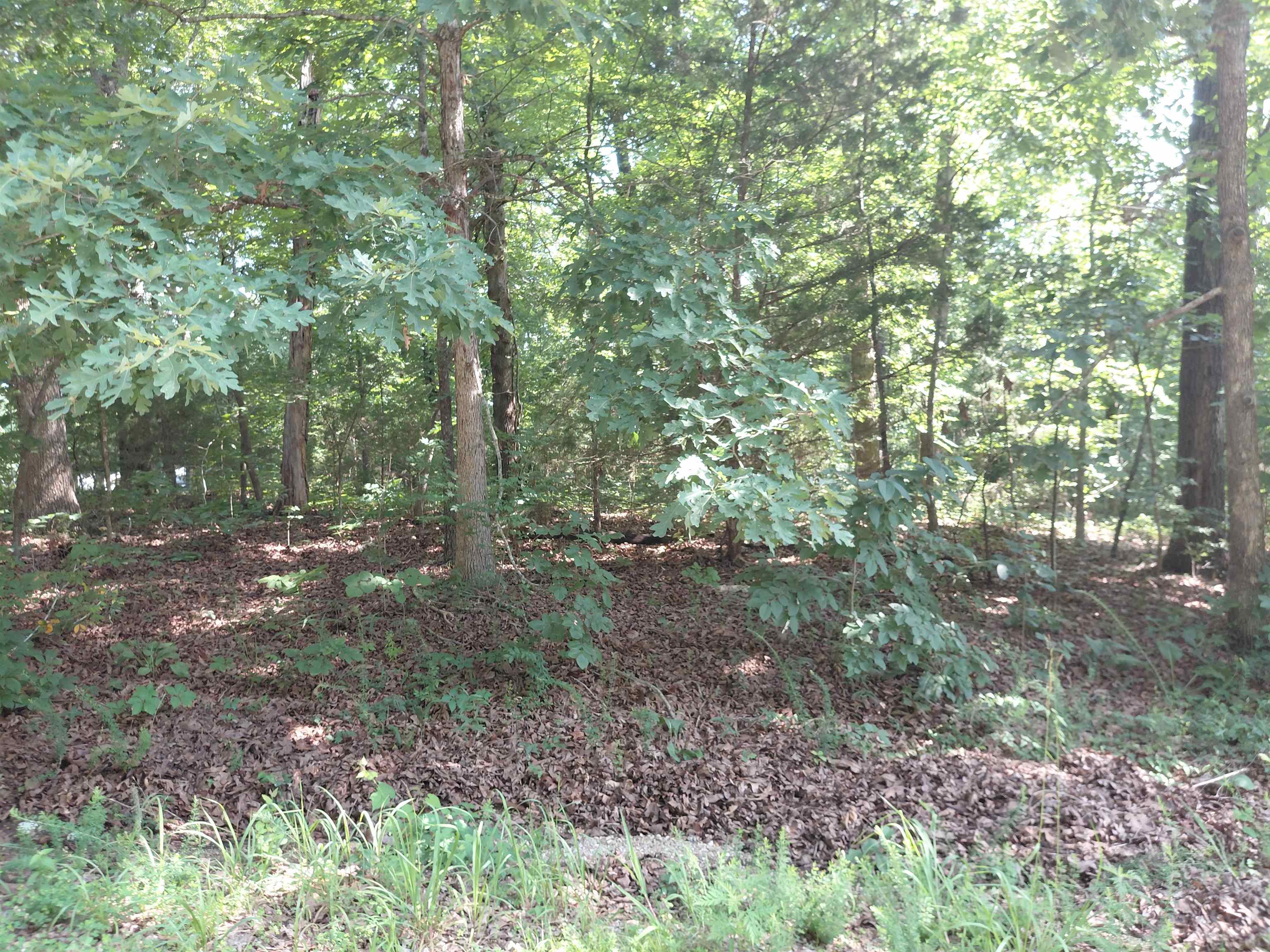 Ponderosa Lane Property Photo 18