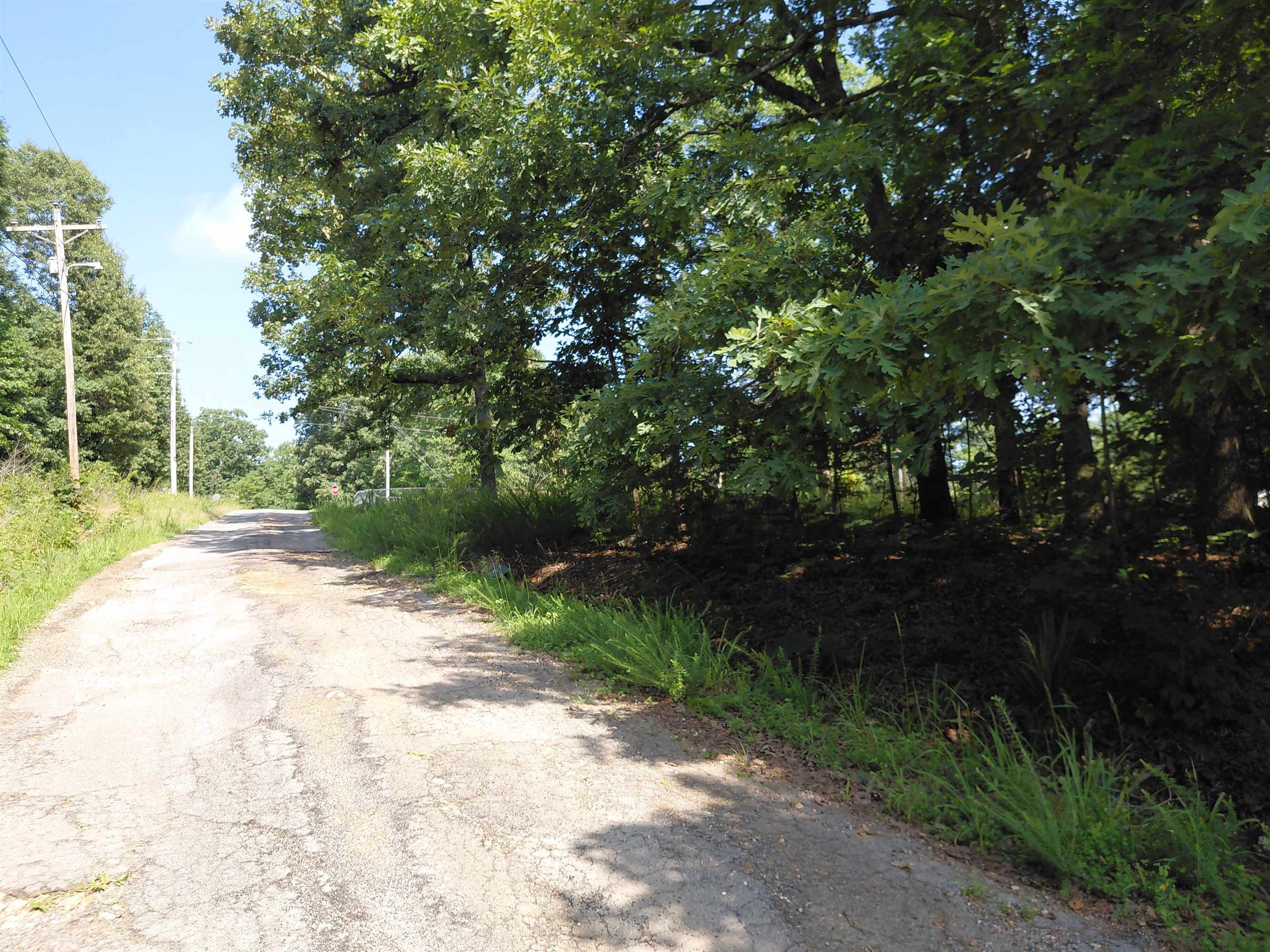 Ponderosa Lane Property Photo 19