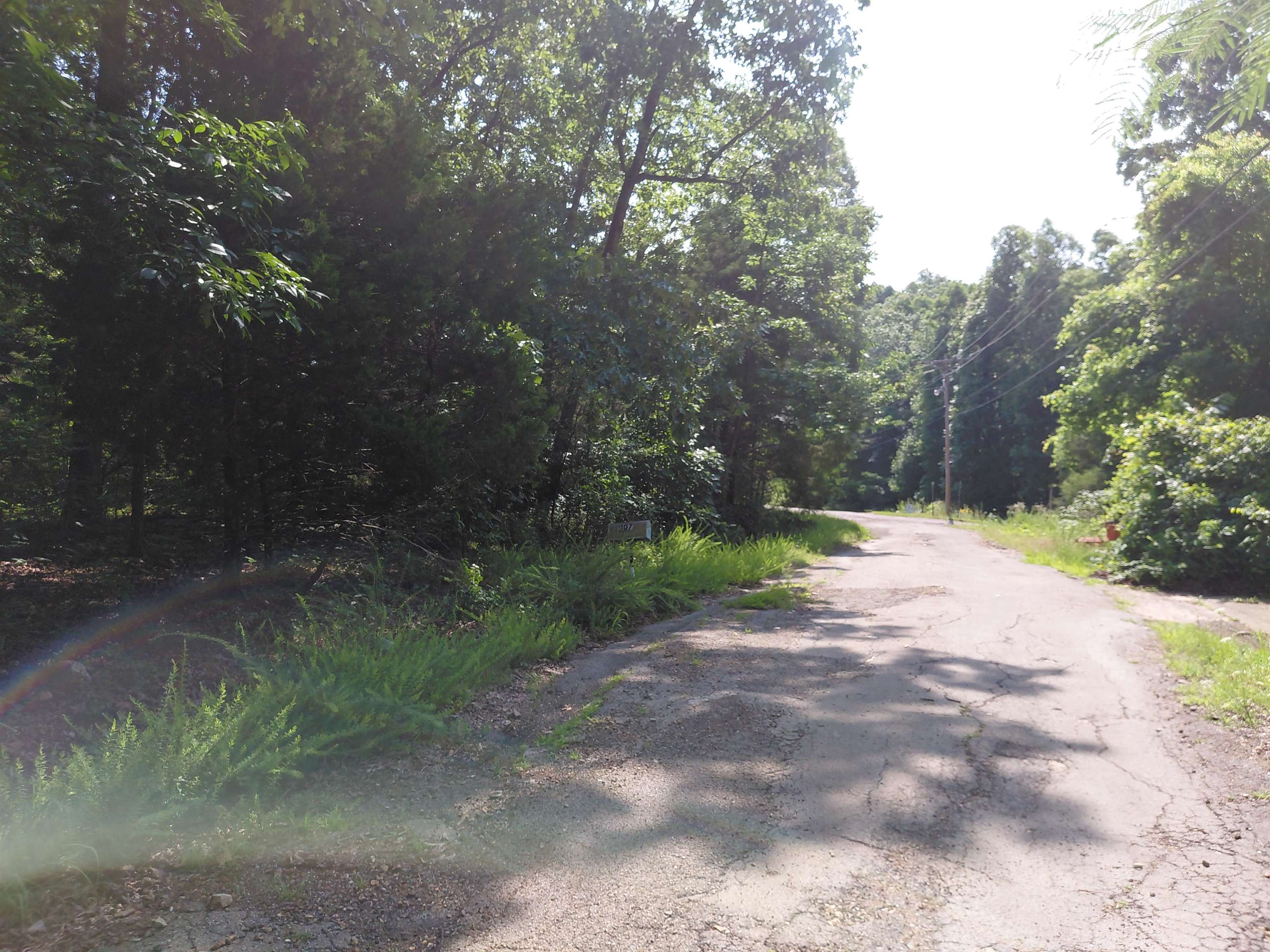 Ponderosa Lane Property Photo 20
