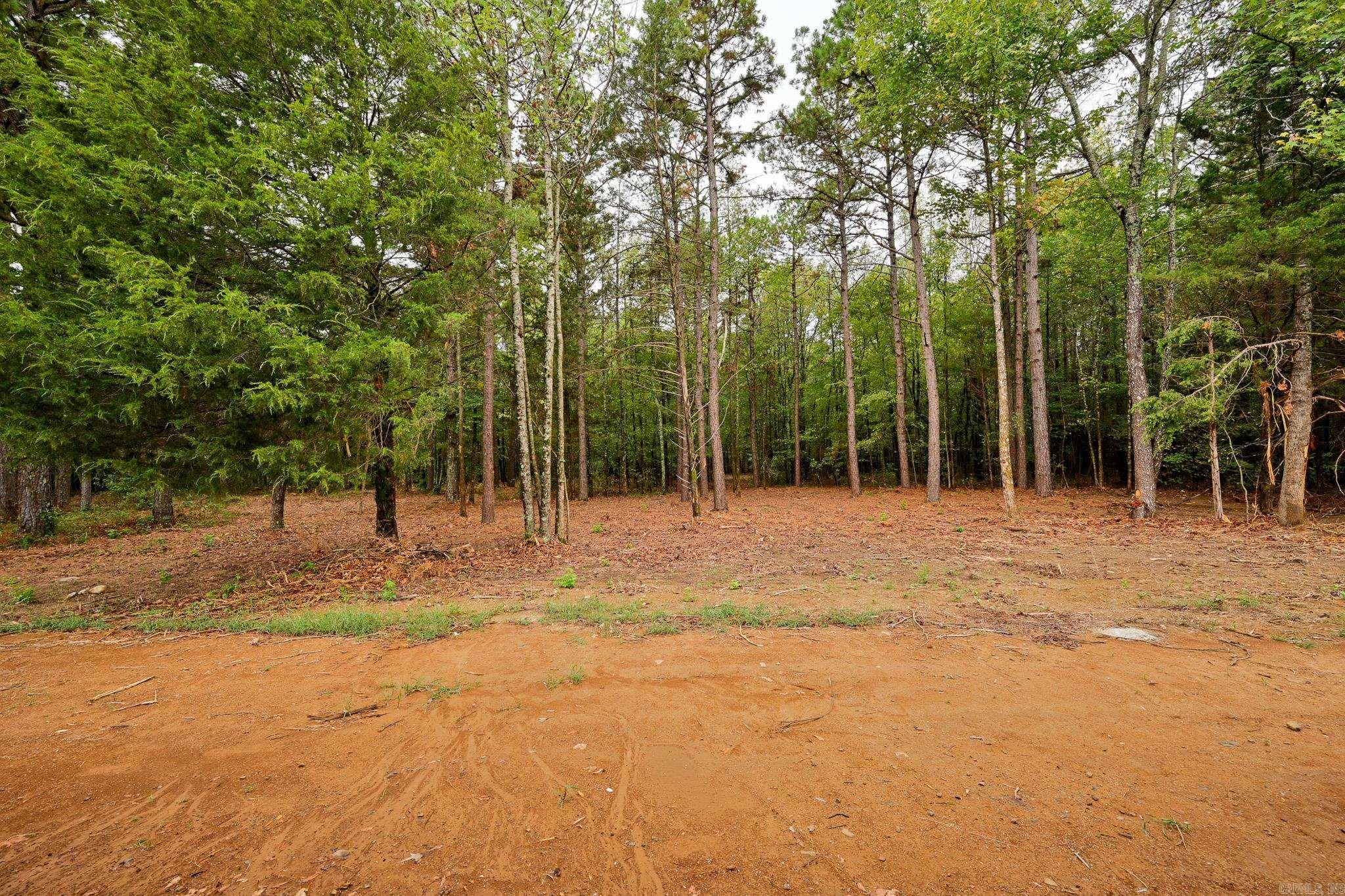 561 Lewis Creek Lane Property Photo 34