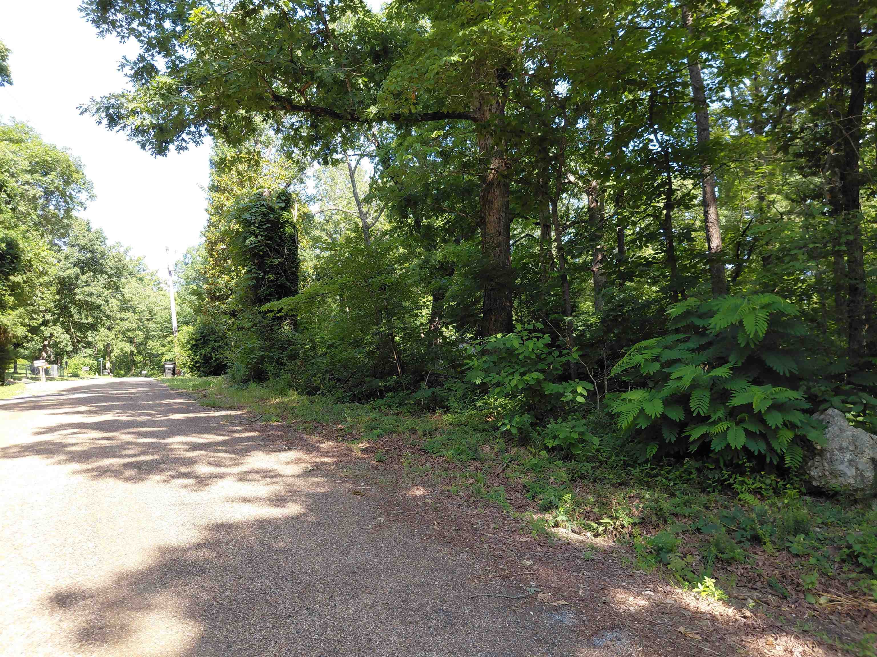 Vagabond Road Property Photo 2