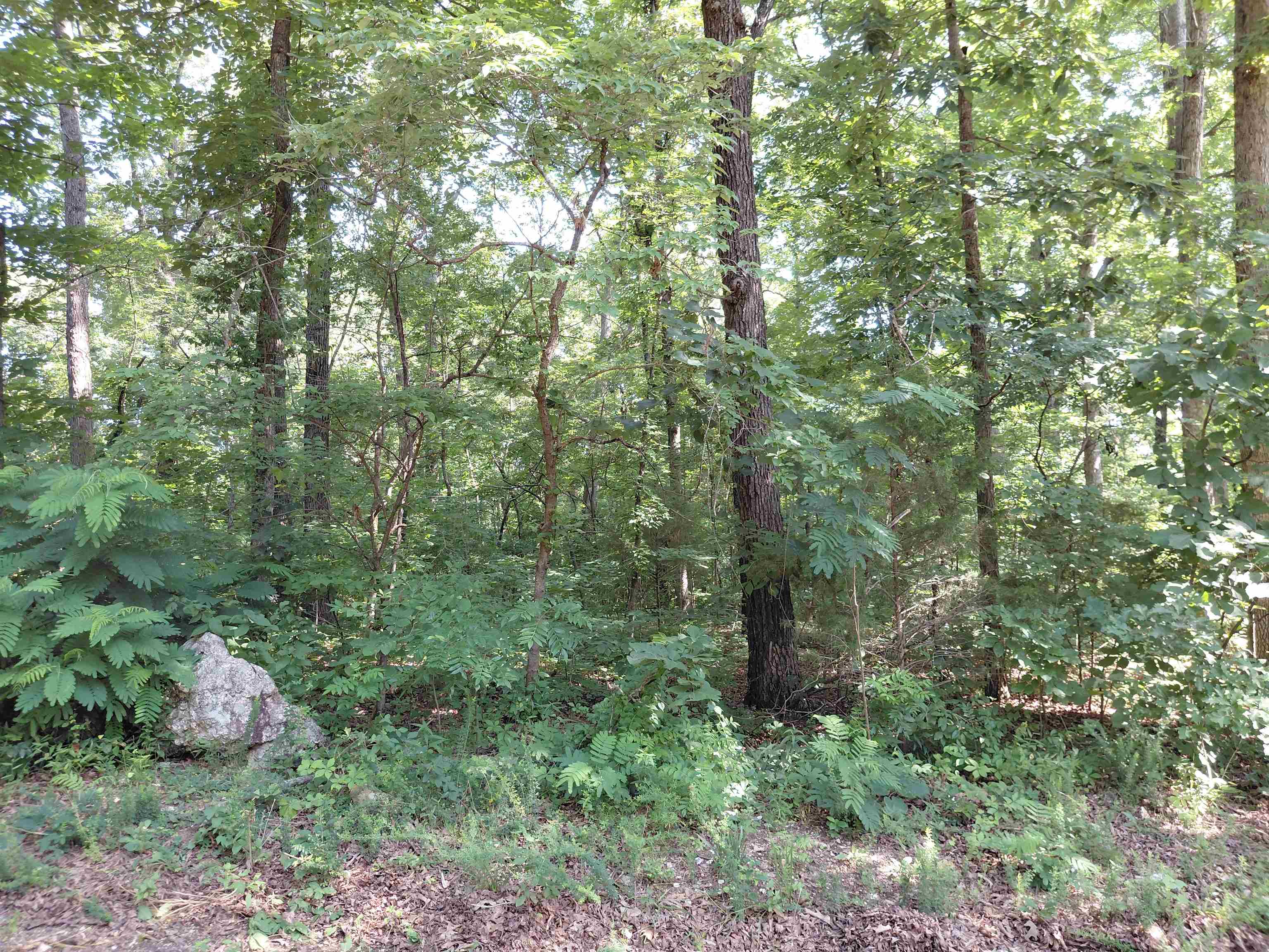 Vagabond Road Property Photo 3