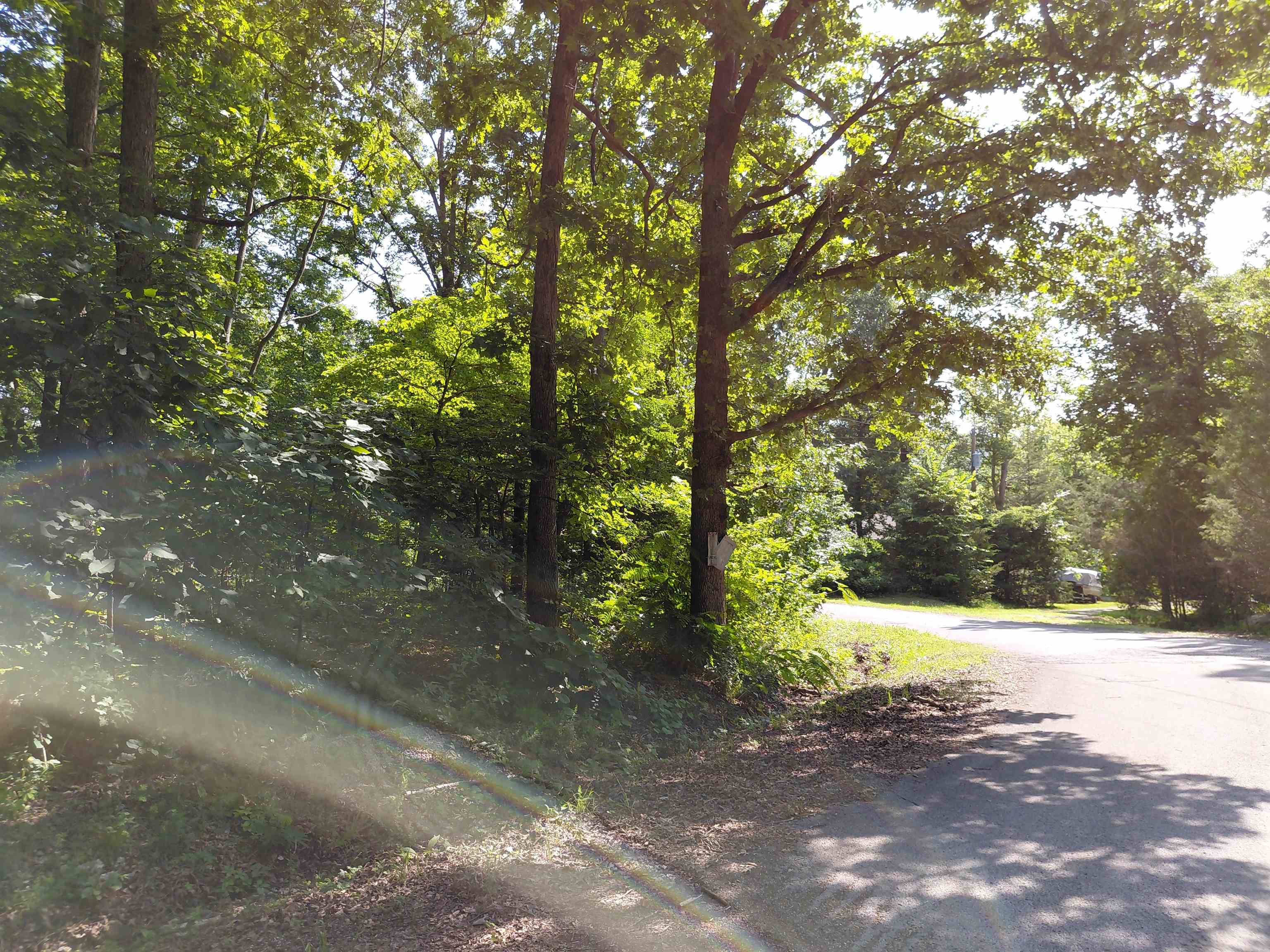 Vagabond Road Property Photo 4
