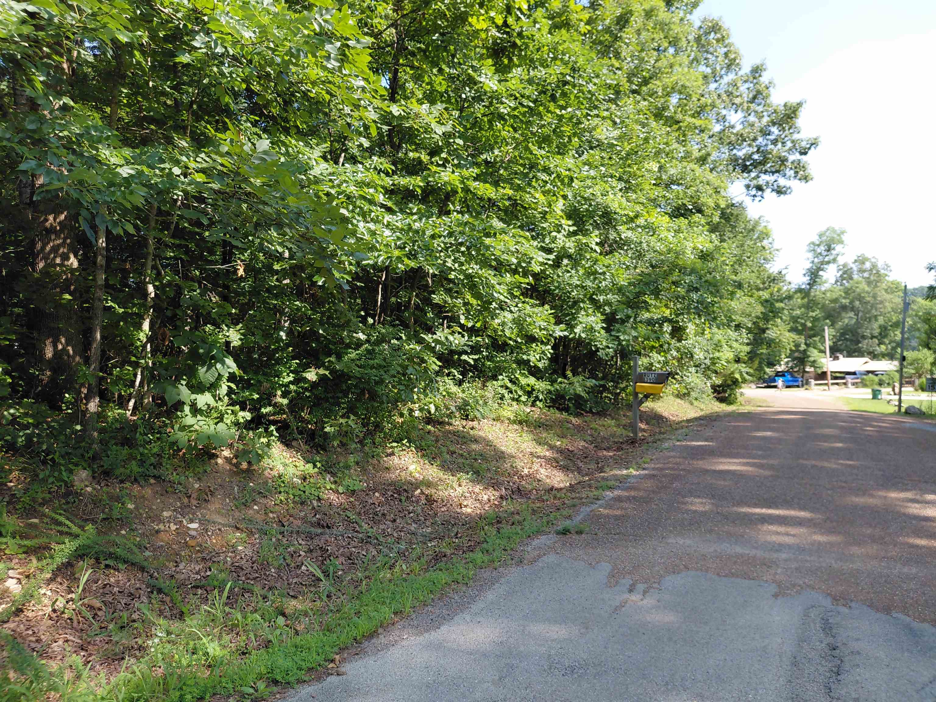 Vagabond Road Property Photo 6