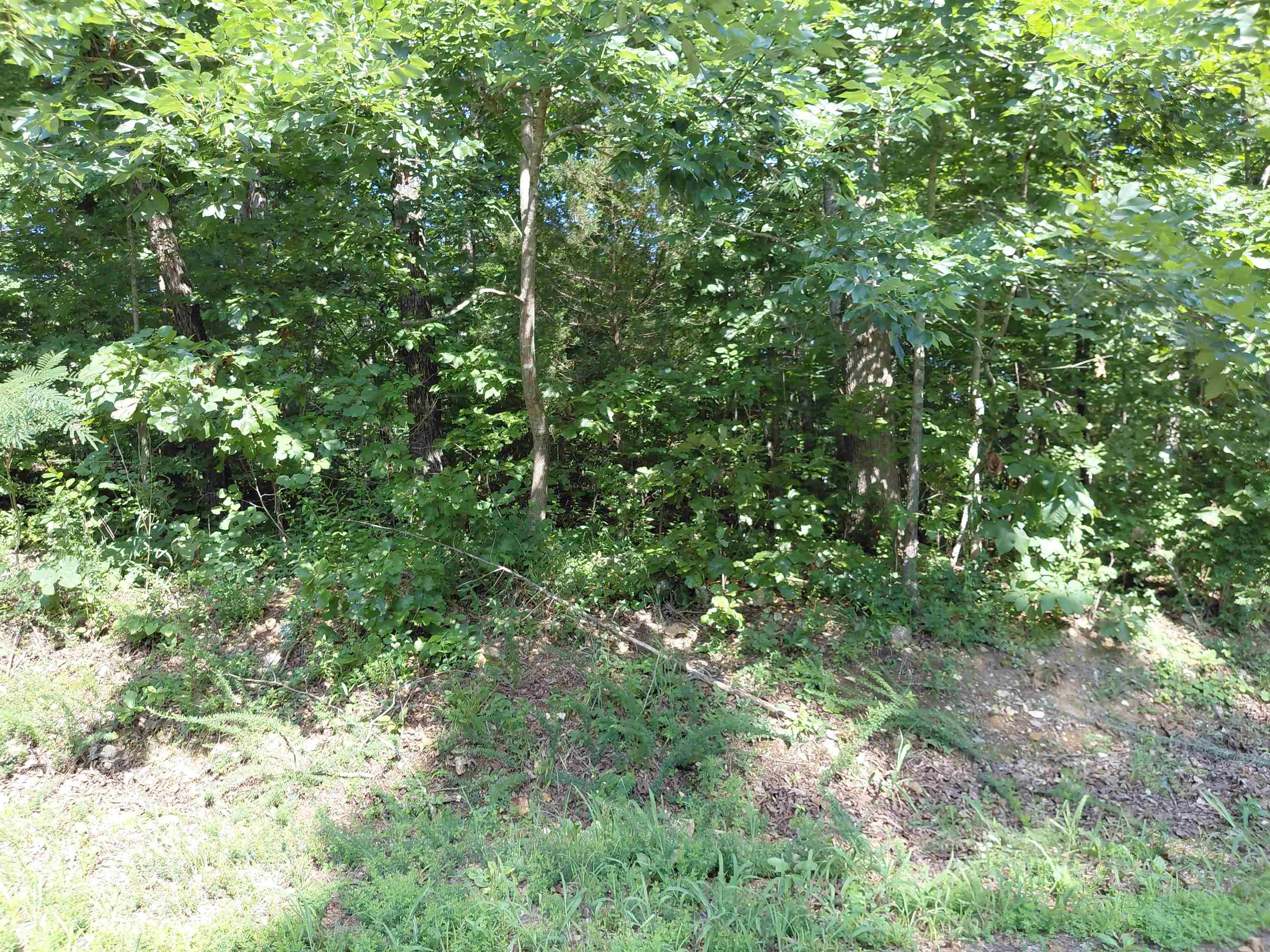 Vagabond Road Property Photo 7