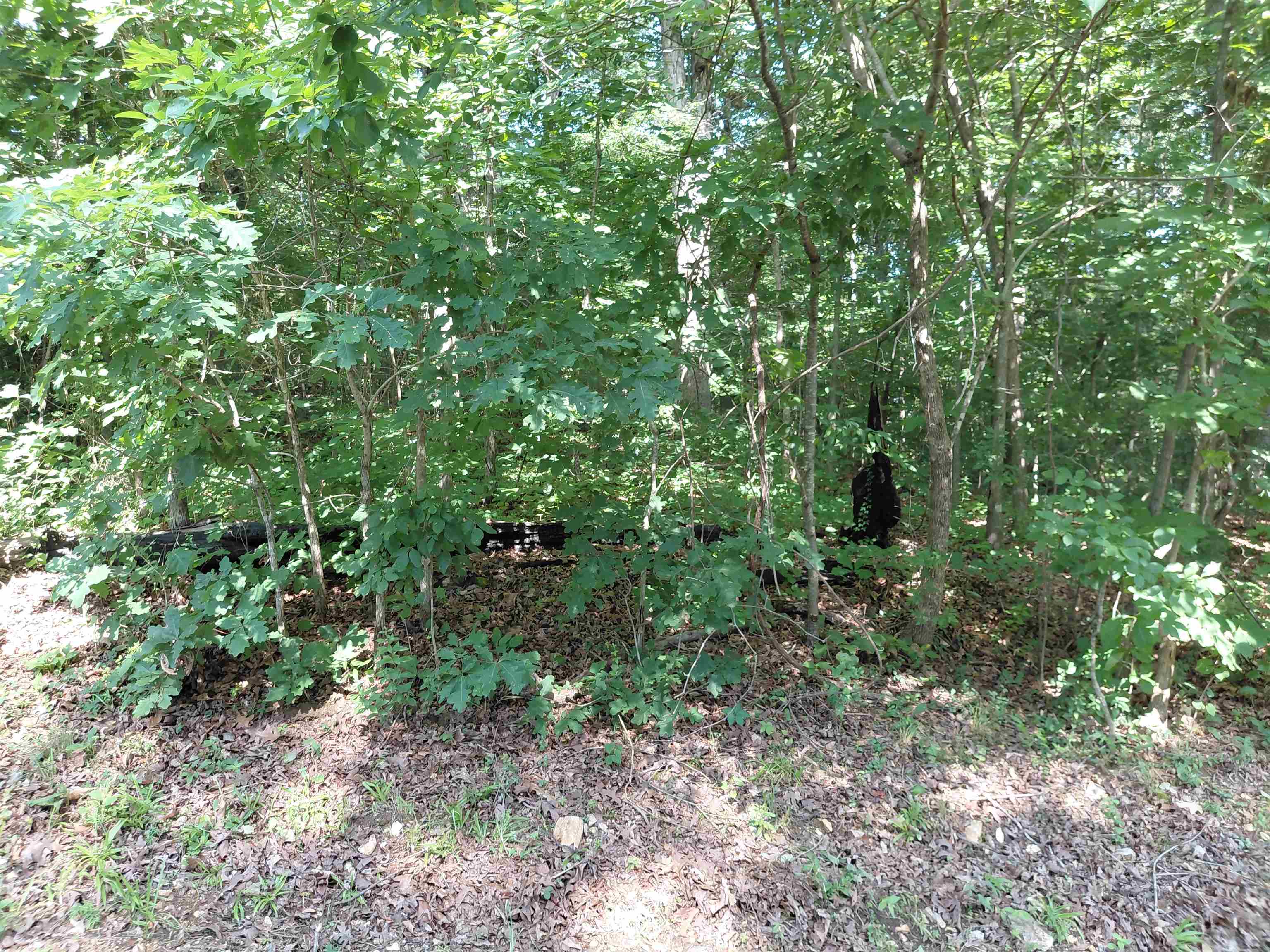 Vagabond Road Property Photo 8
