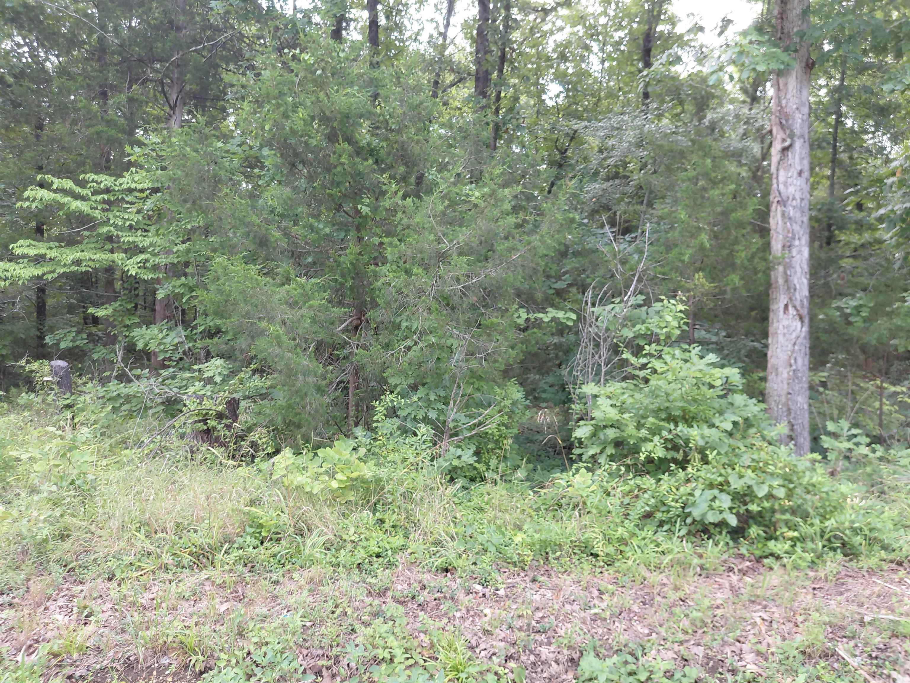 Ponderosa Drive Property Photo 5