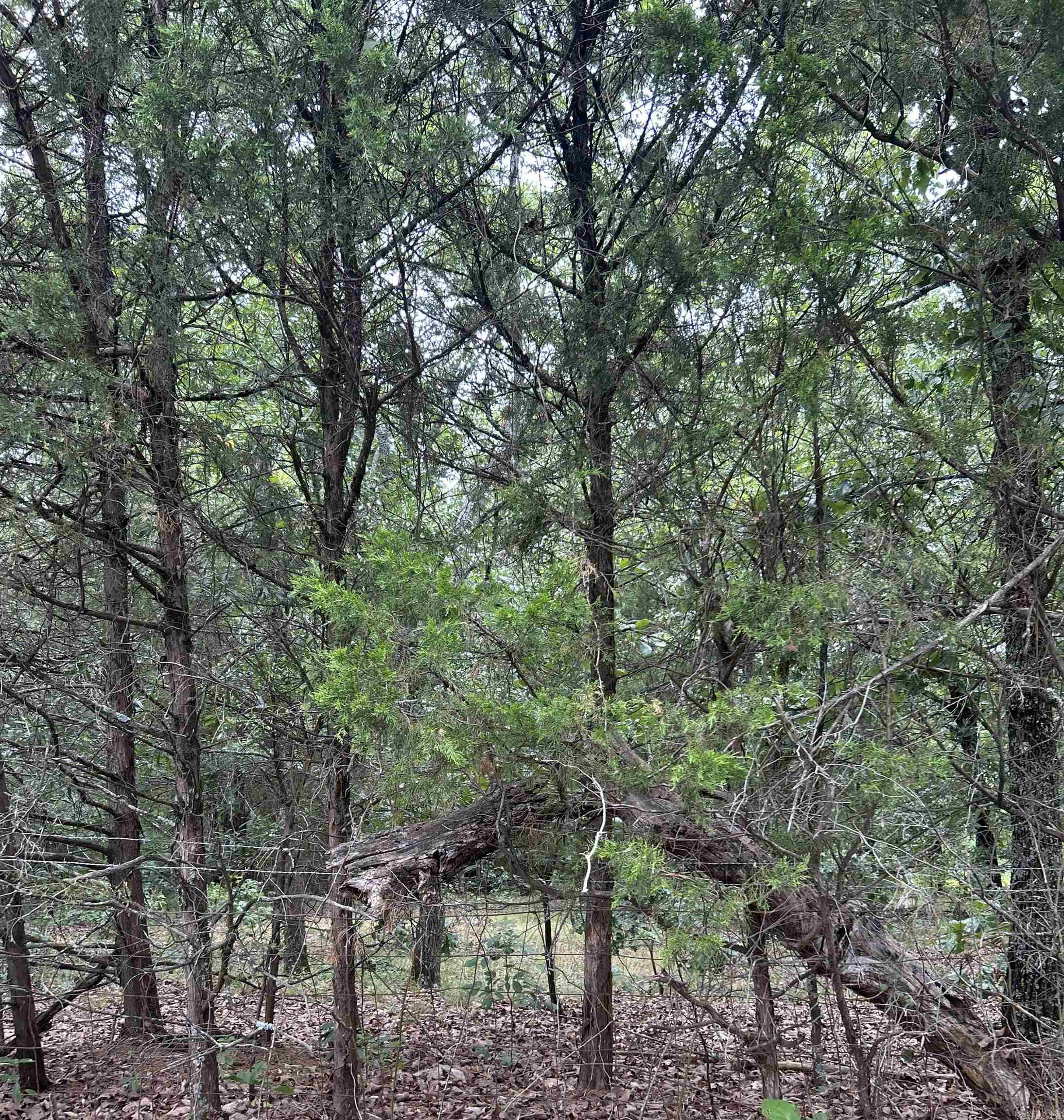 3324 Donnell Ridge Road Property Photo 2