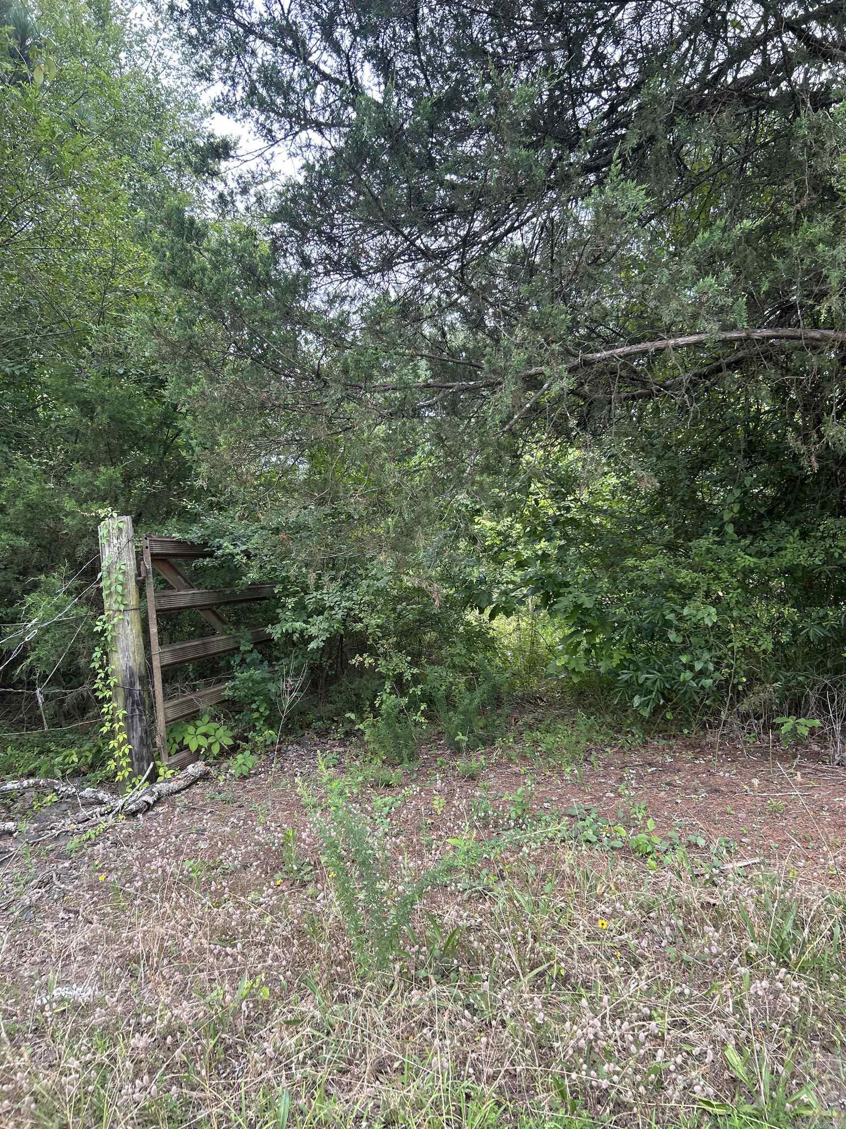 3324 Donnell Ridge Road Property Photo 5