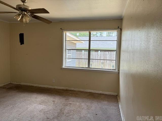 504 Fullerton Street Property Photo 4