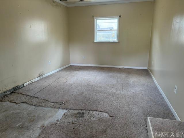 504 Fullerton Street Property Photo 5