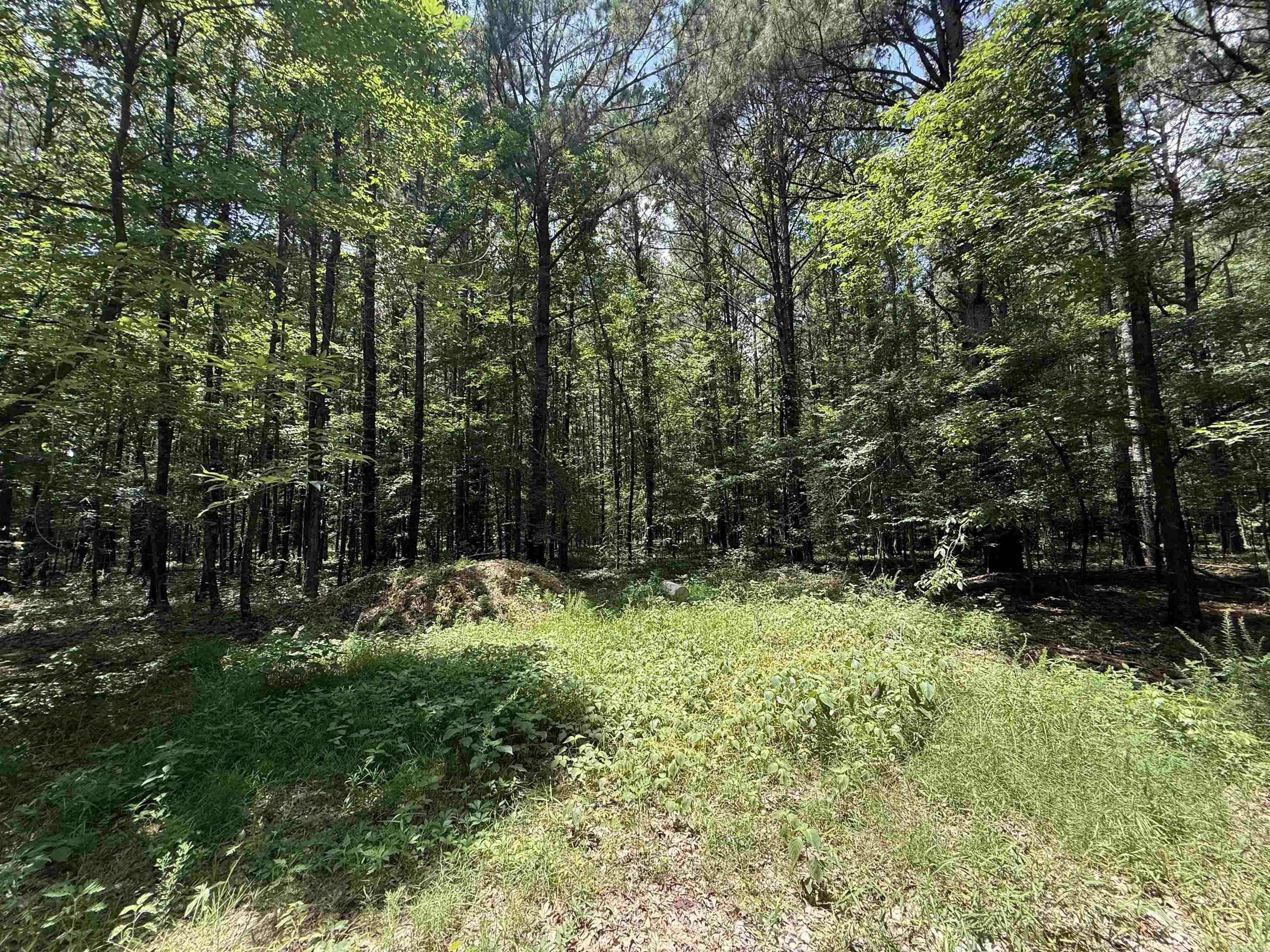 398 Barton Bethel Road Property Photo 16
