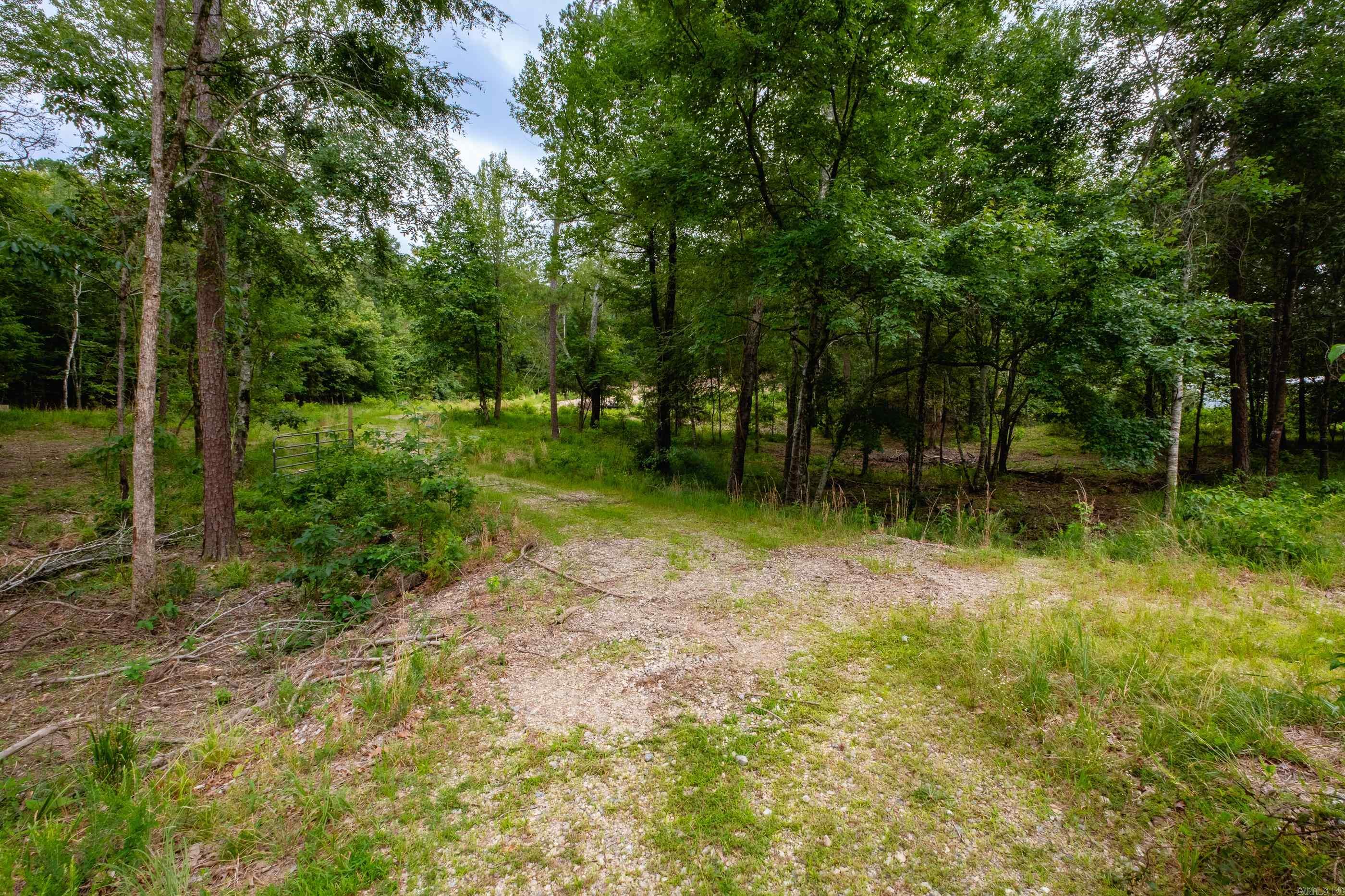 27907 Tram Road Property Photo 3