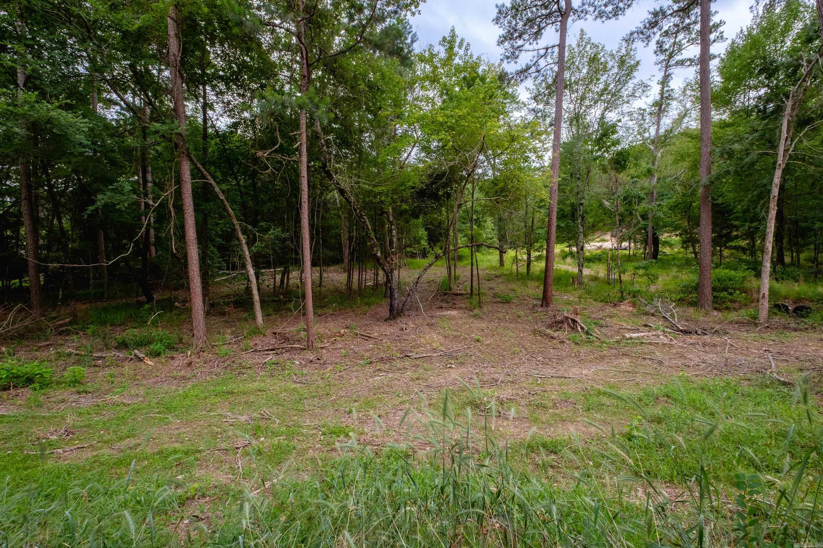 27907 Tram Road Property Photo 4