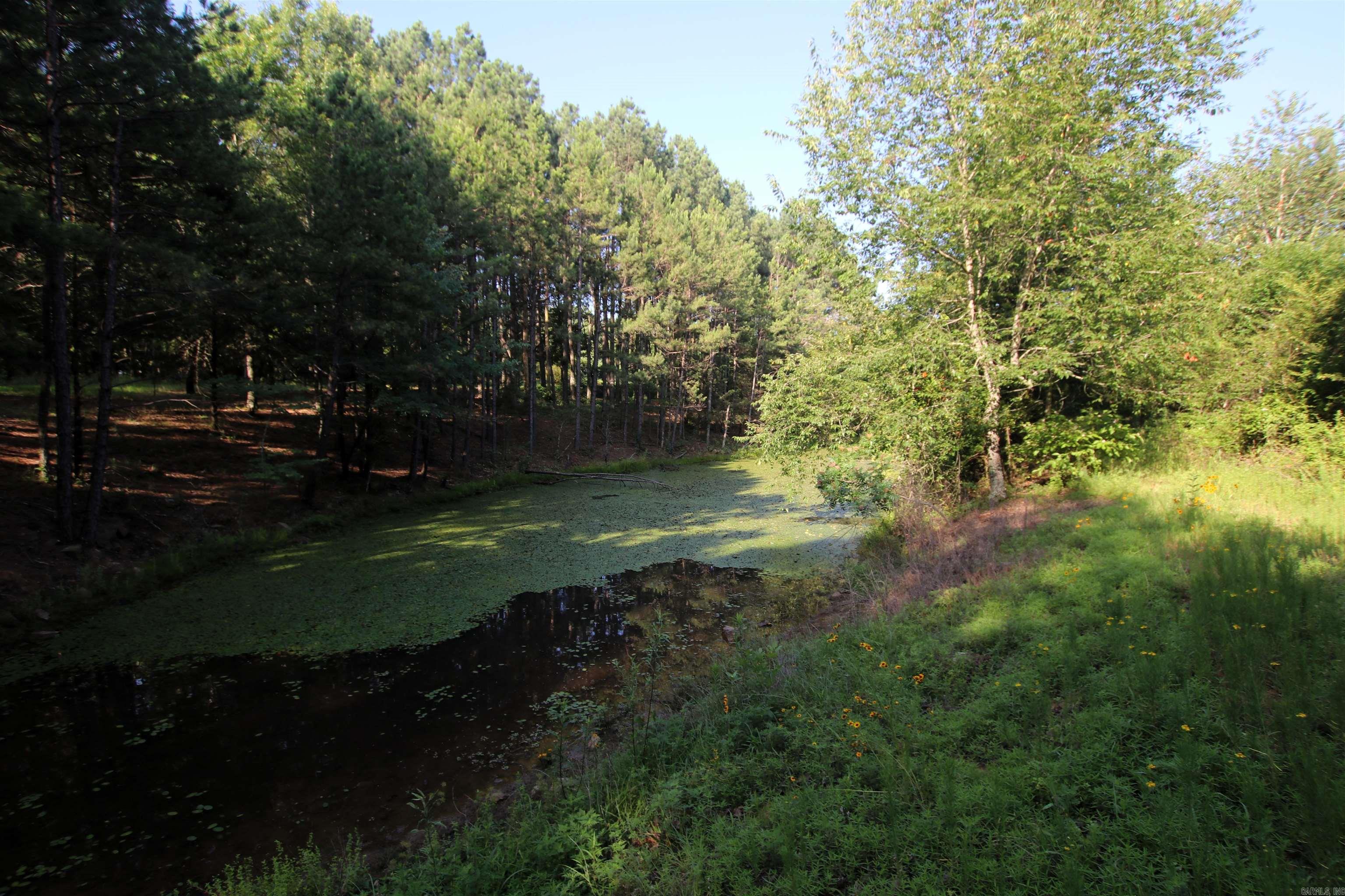 35 Cedar Creek Road Property Photo 15