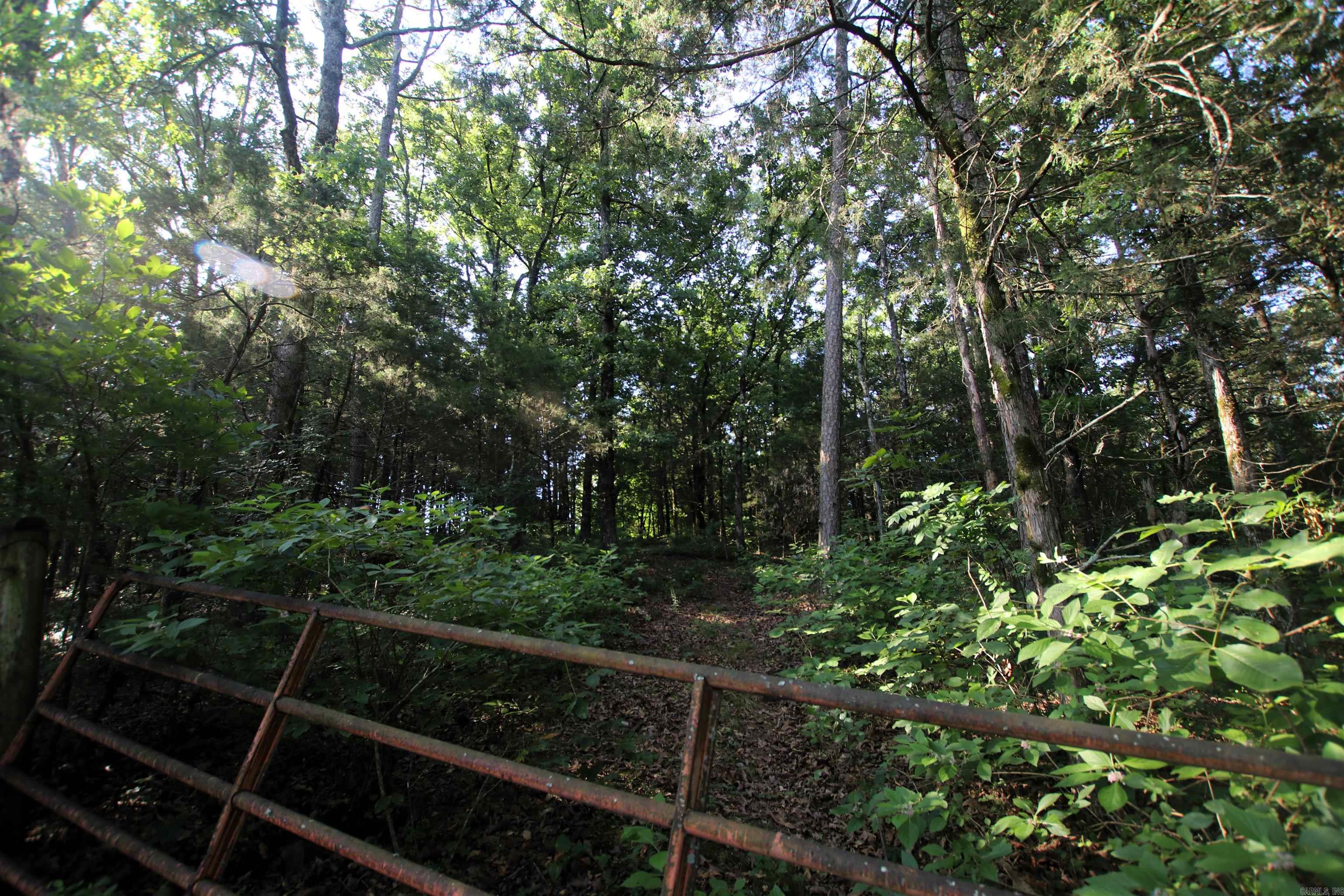 35 Cedar Creek Road Property Photo 25