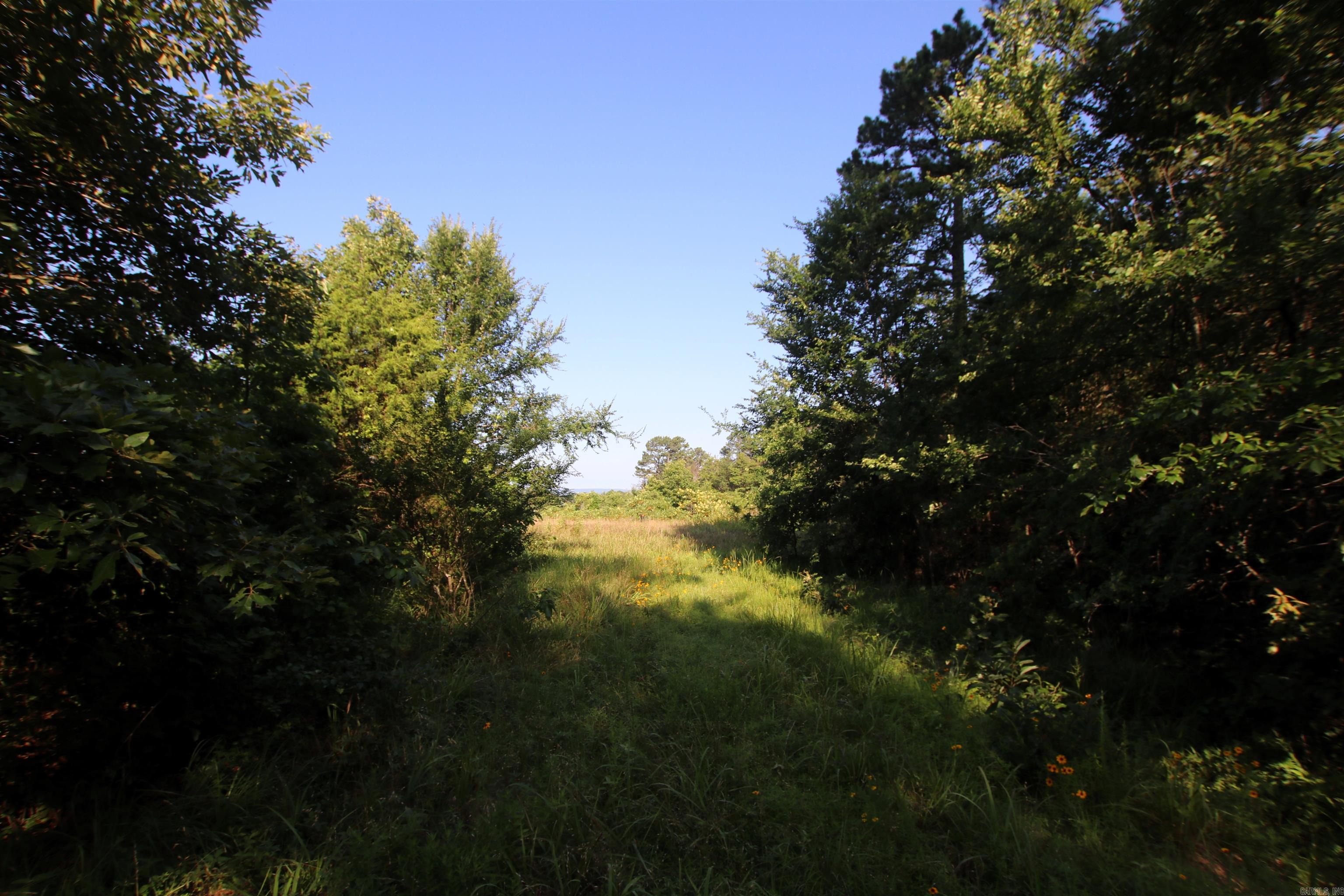35 Cedar Creek Road Property Photo 27
