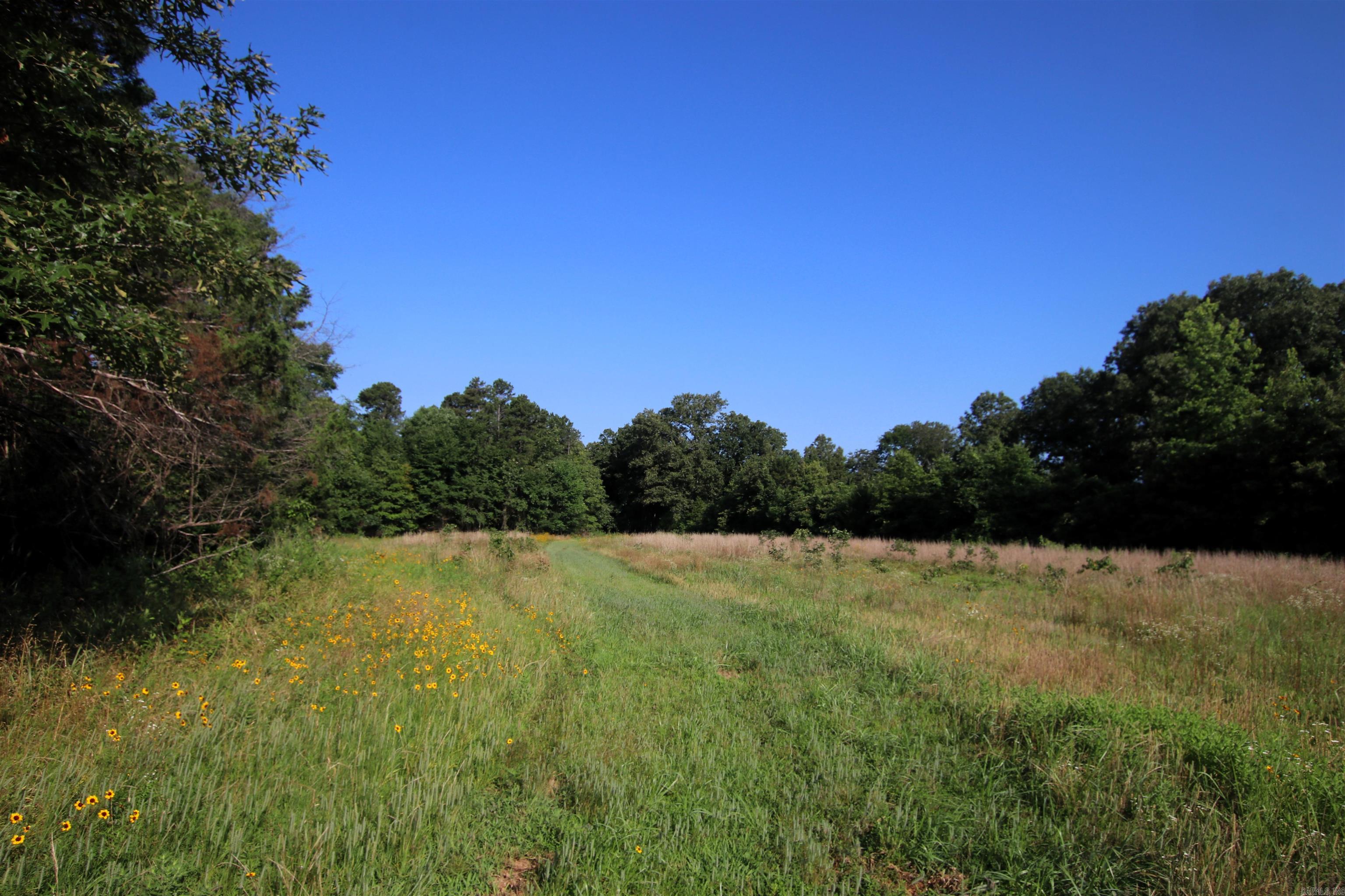 35 Cedar Creek Road Property Photo 29