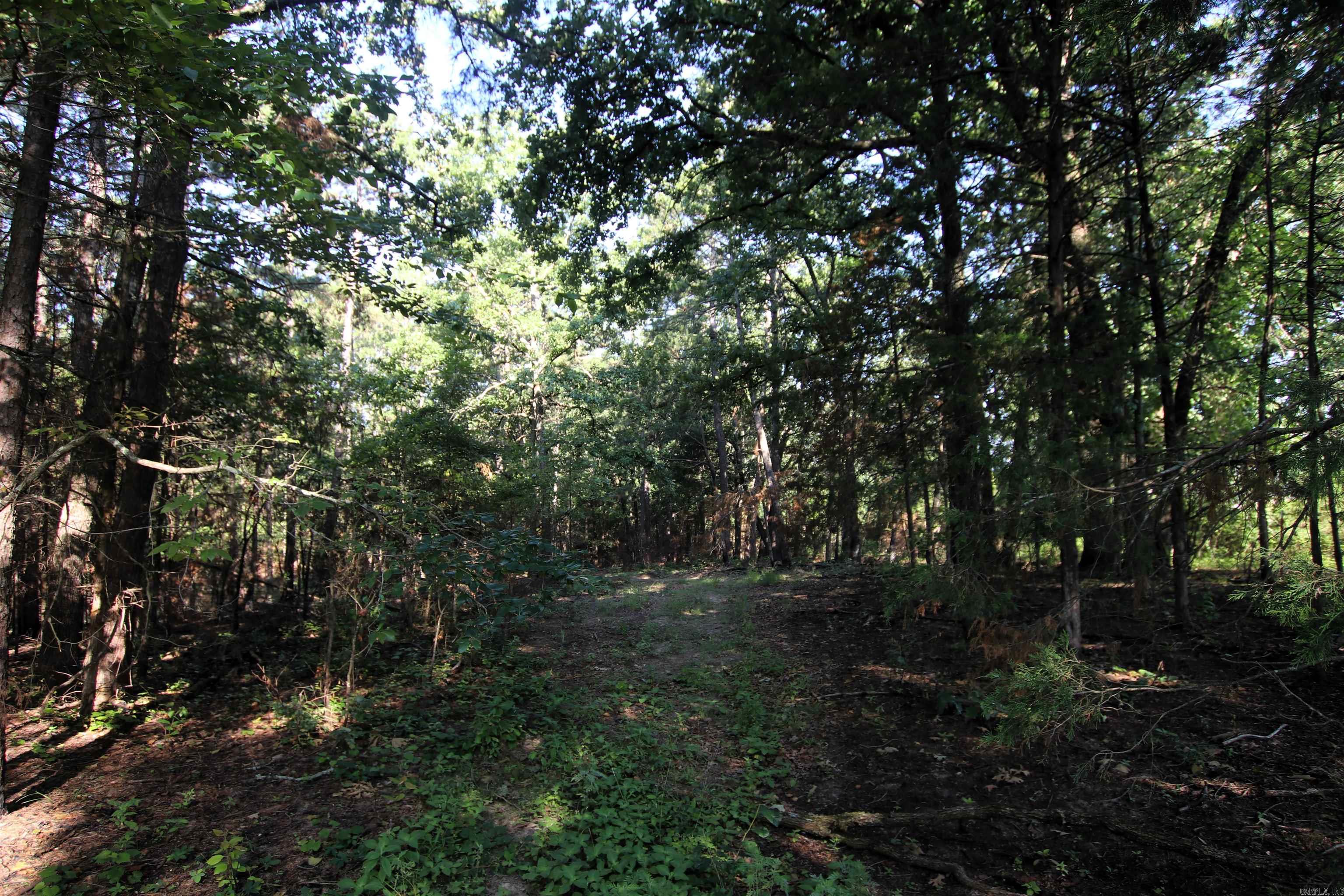 35 Cedar Creek Road Property Photo 34